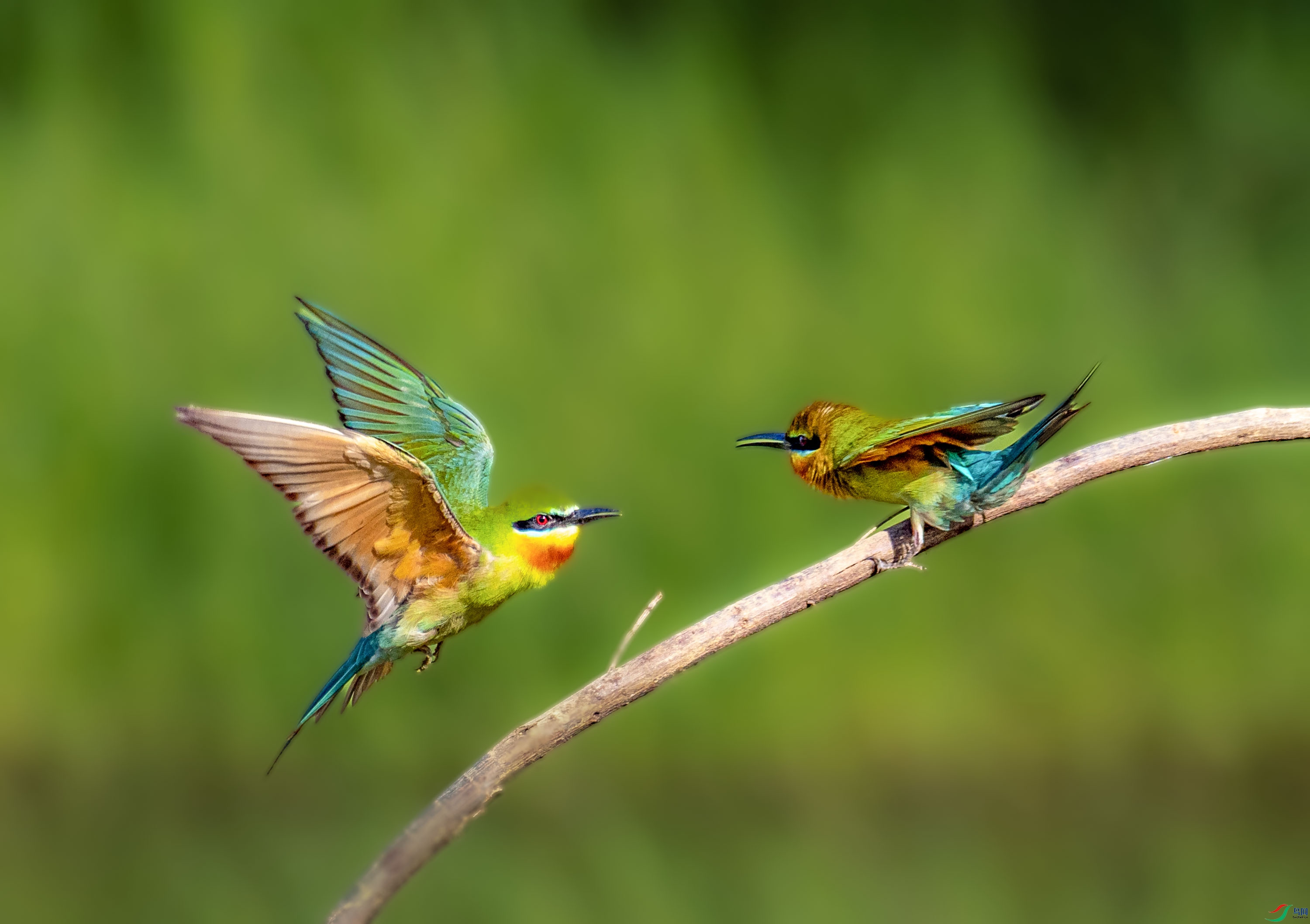 P5120121 --�����仢.jpg