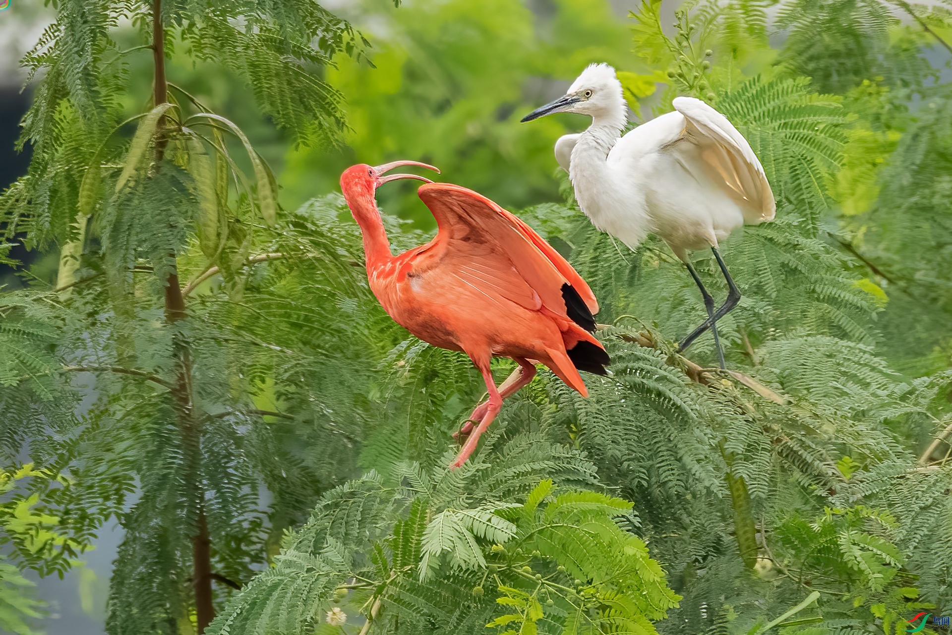 B86I0400 _����.jpg