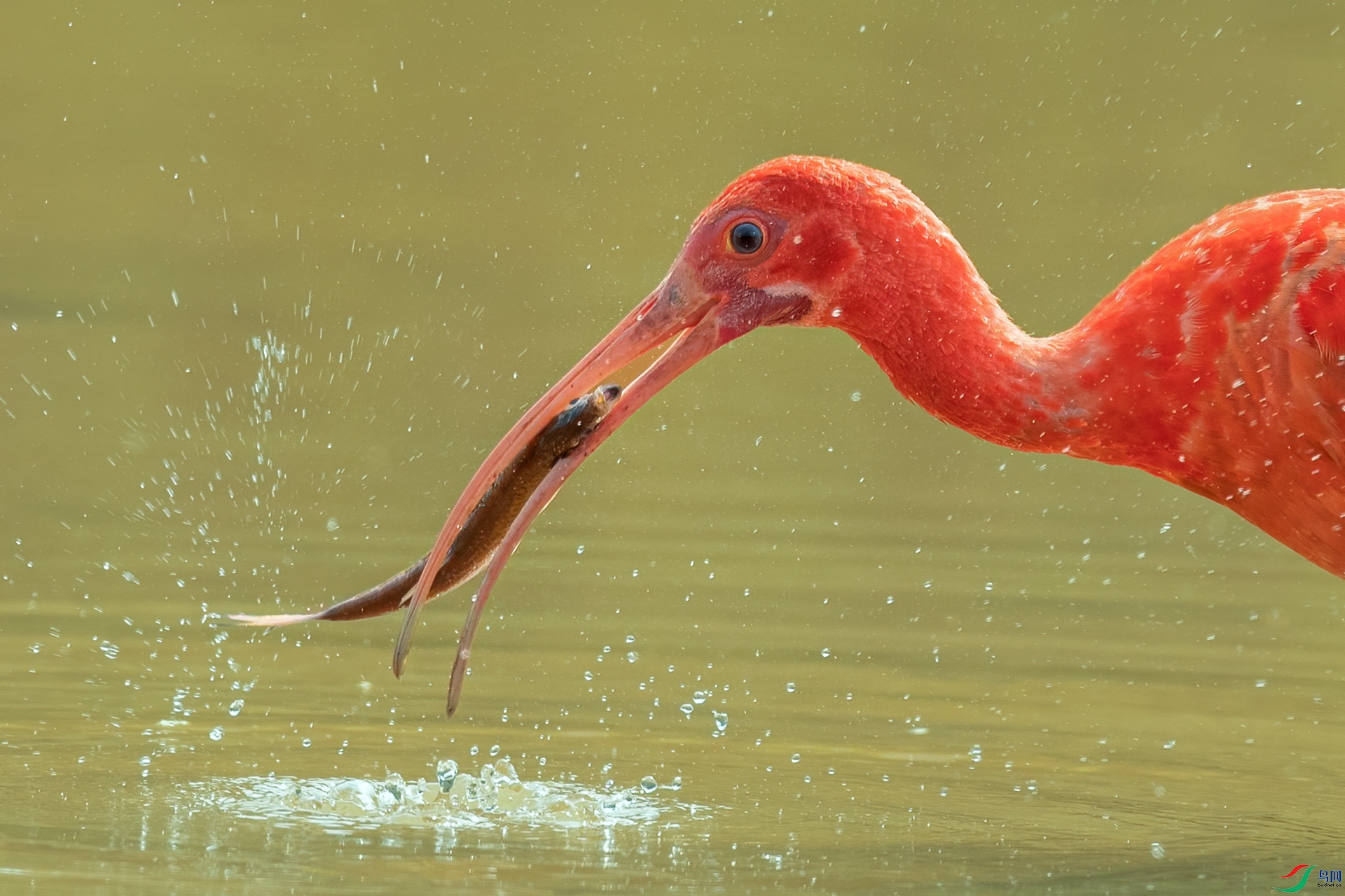 B86I5024 _����.jpg