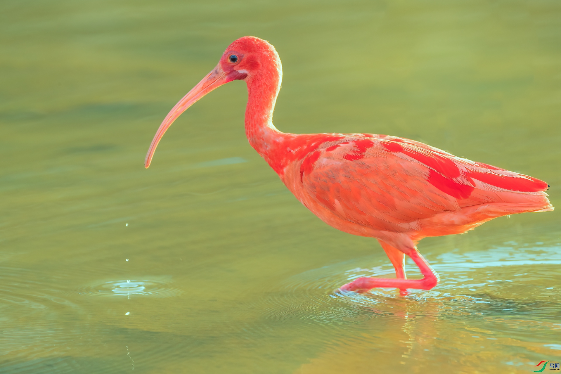 B86I4080 _����.jpg