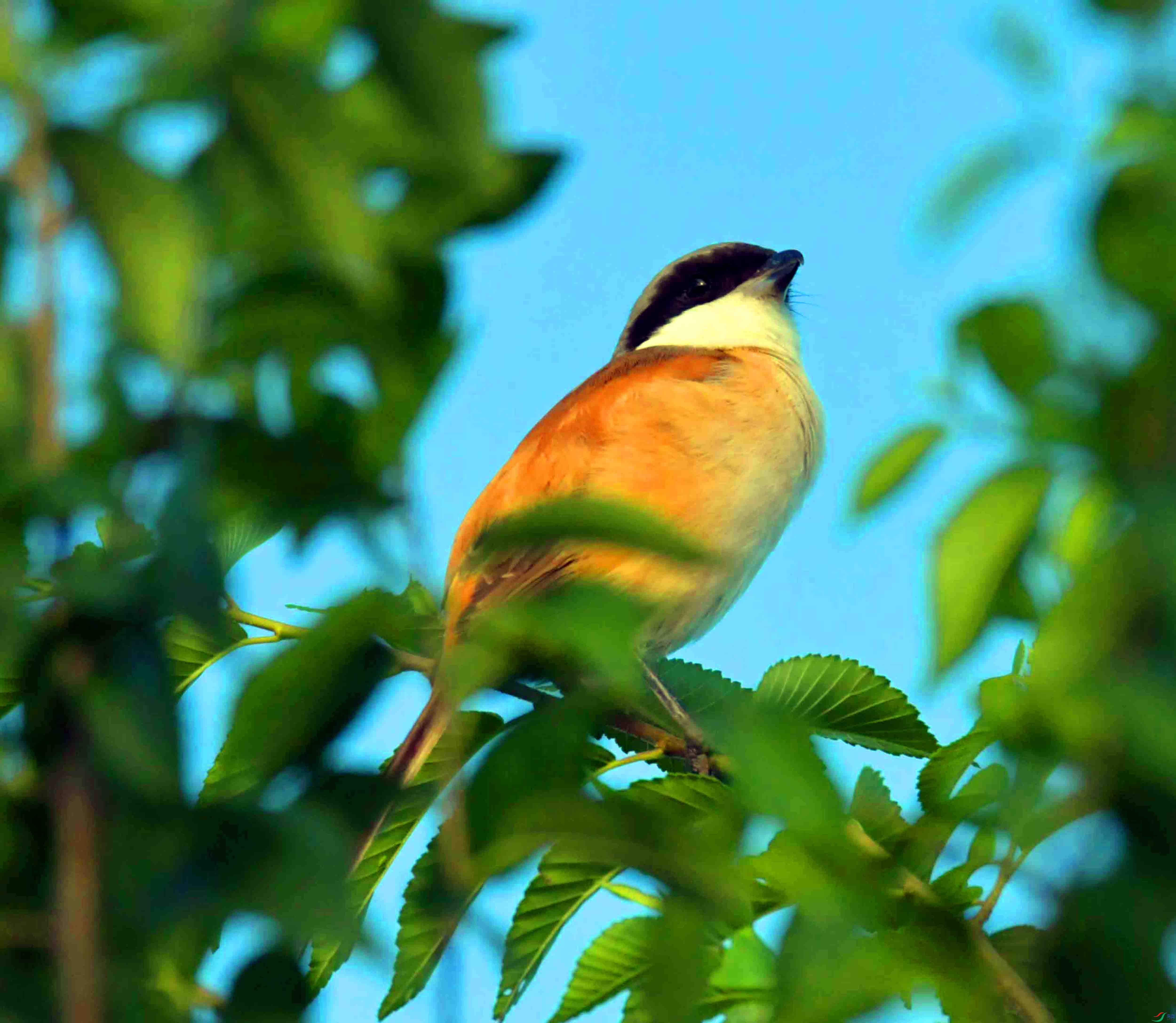 DSC_8341.JPG