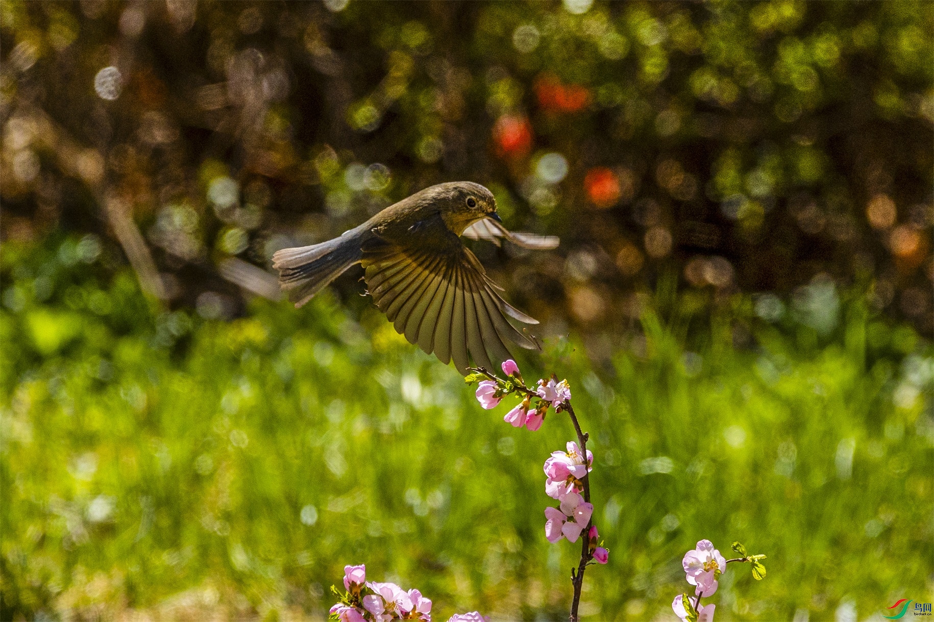 1K3A7879 ����1.jpg