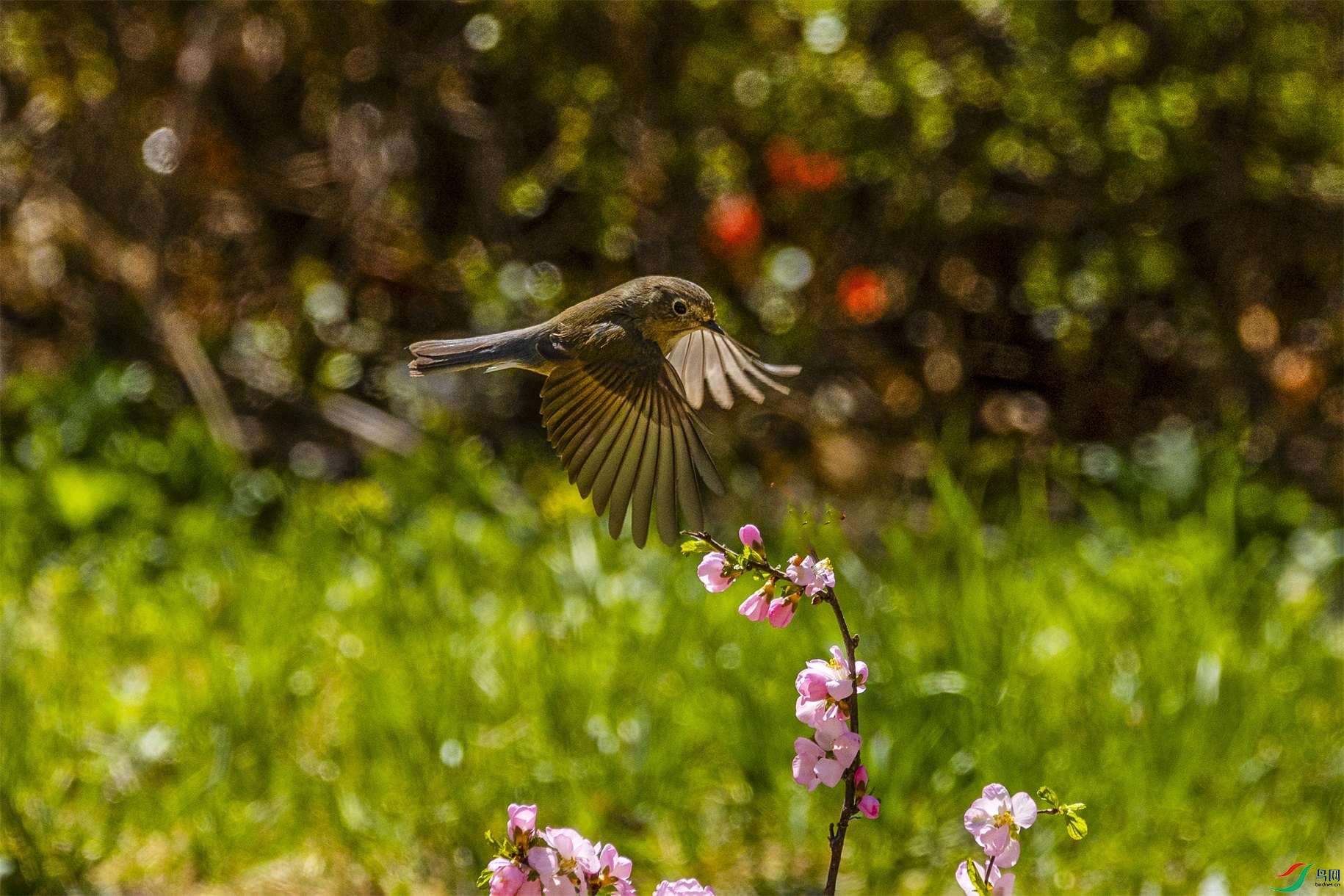 1K3A7880 ����1.jpg