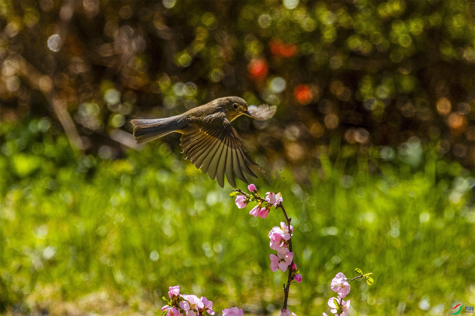 1K3A7878 ����1.jpg