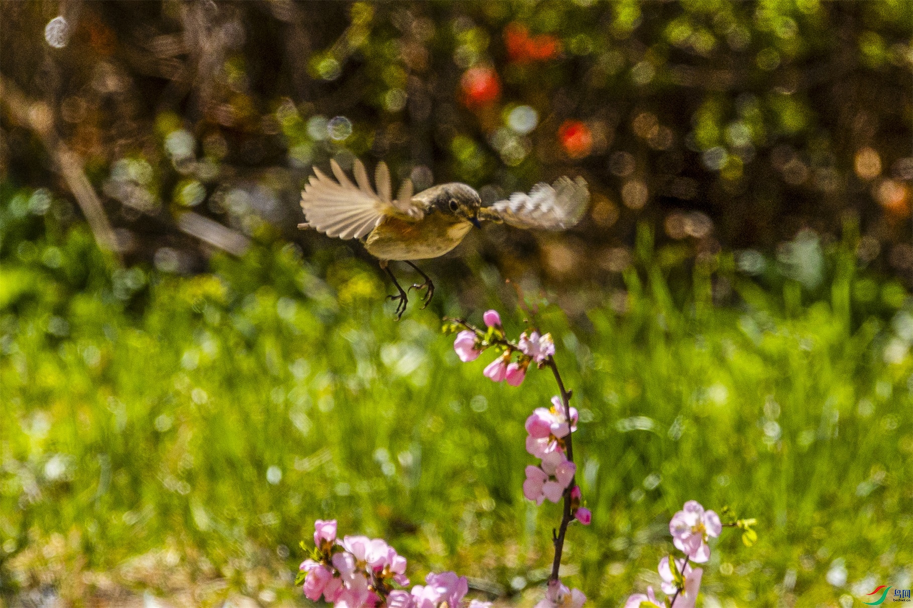 1K3A7884 ����1.jpg