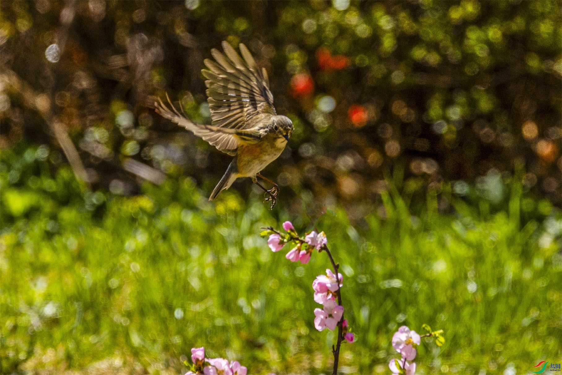 1K3A7882 ����1.jpg