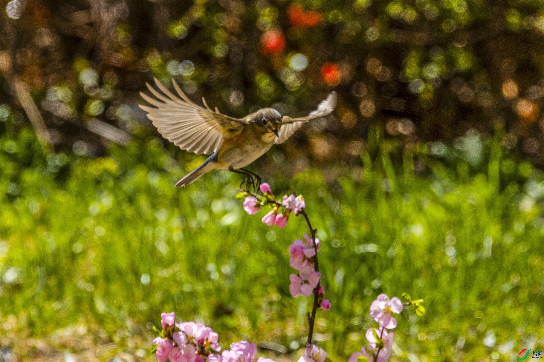 1K3A7885 ����1.jpg