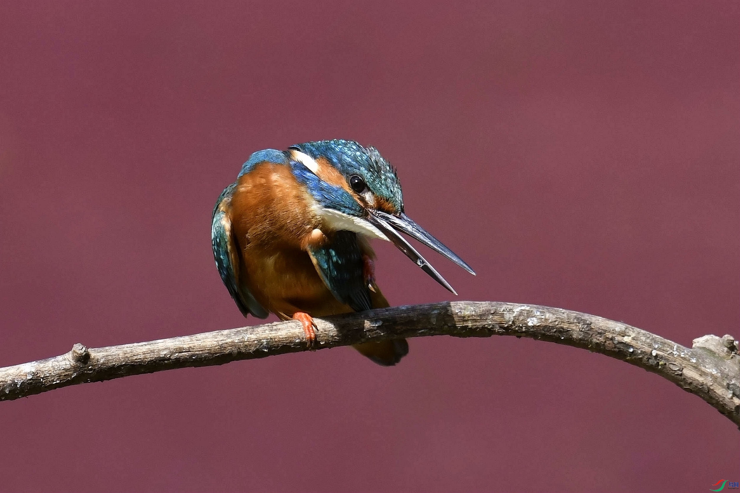_DSC1197_����.jpg