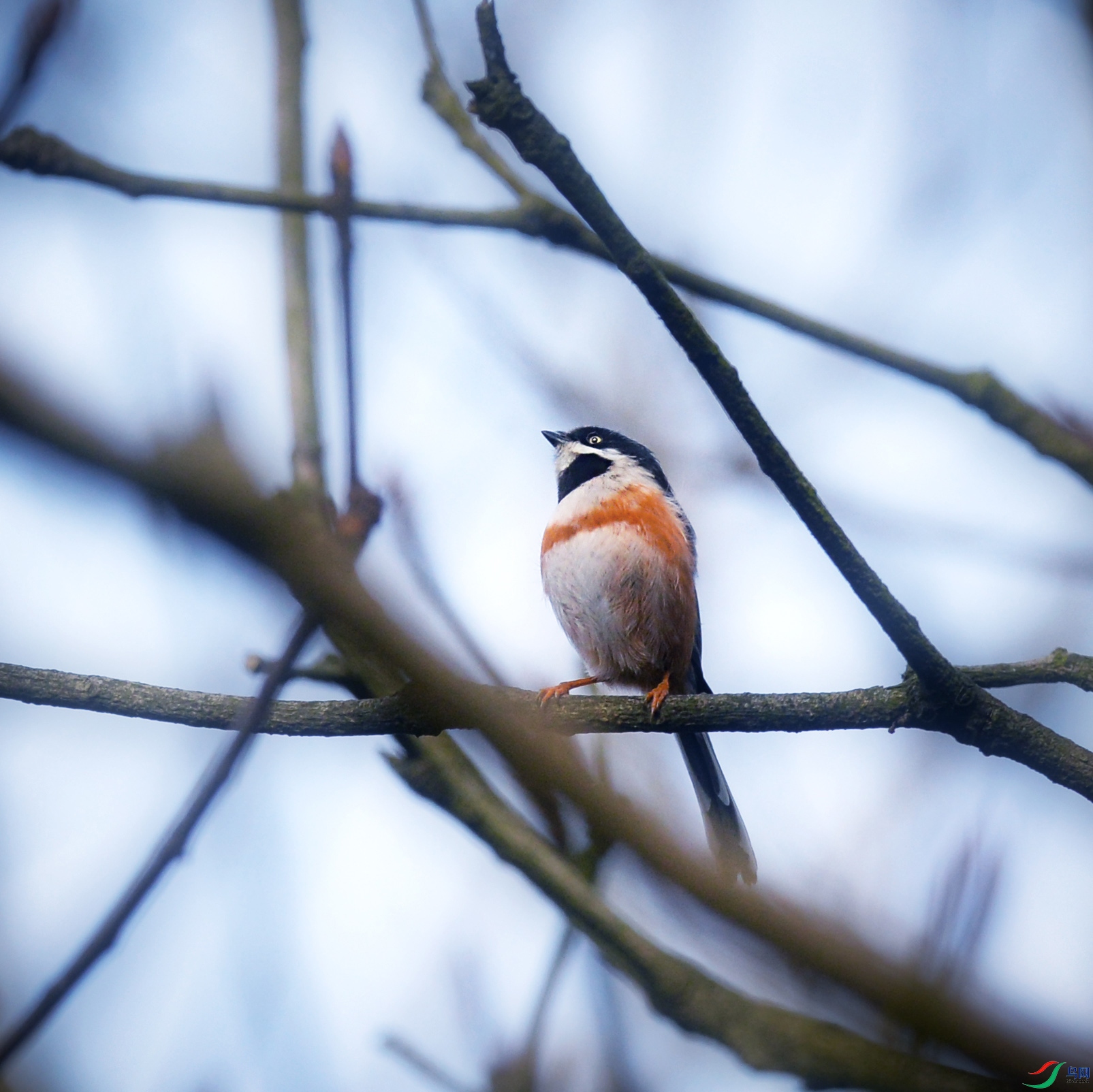 DSC_6148.jpg