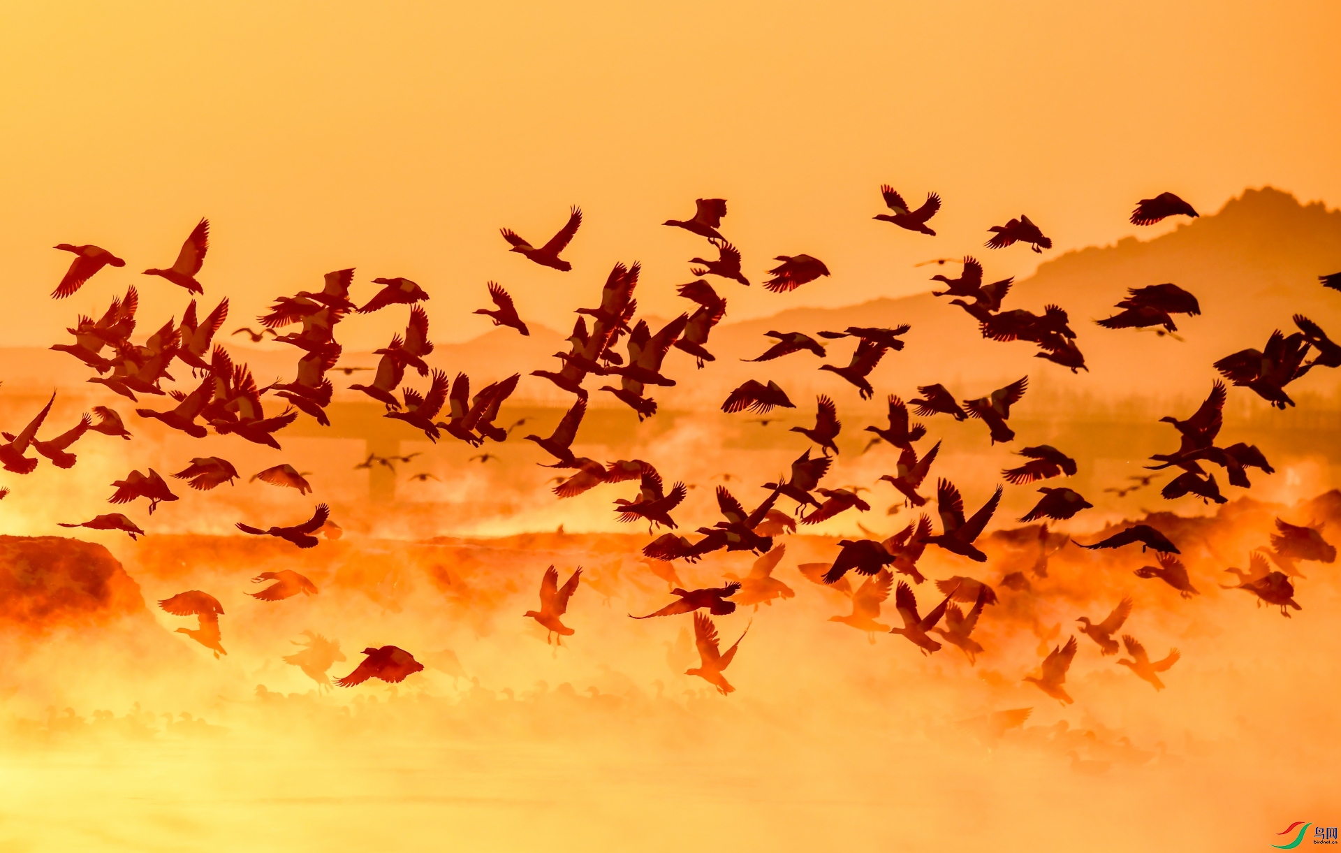 ����Ѽ��