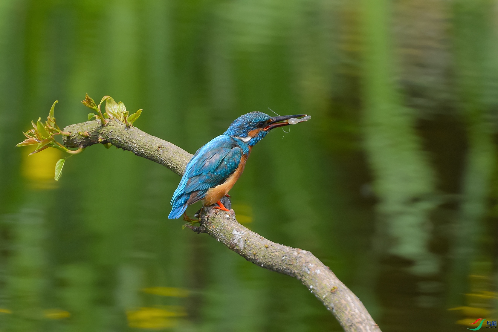 DSC_9858_DxOa.jpg
