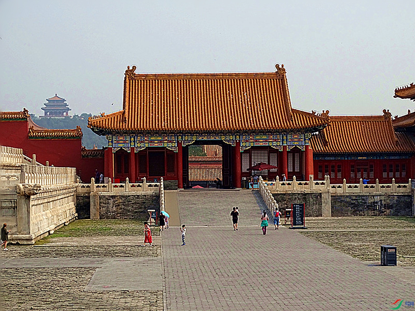 DSC00753_����.jpg