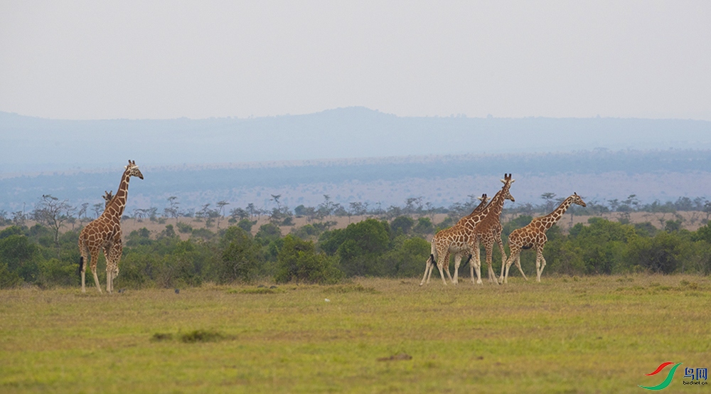 ����¹ (23).jpg