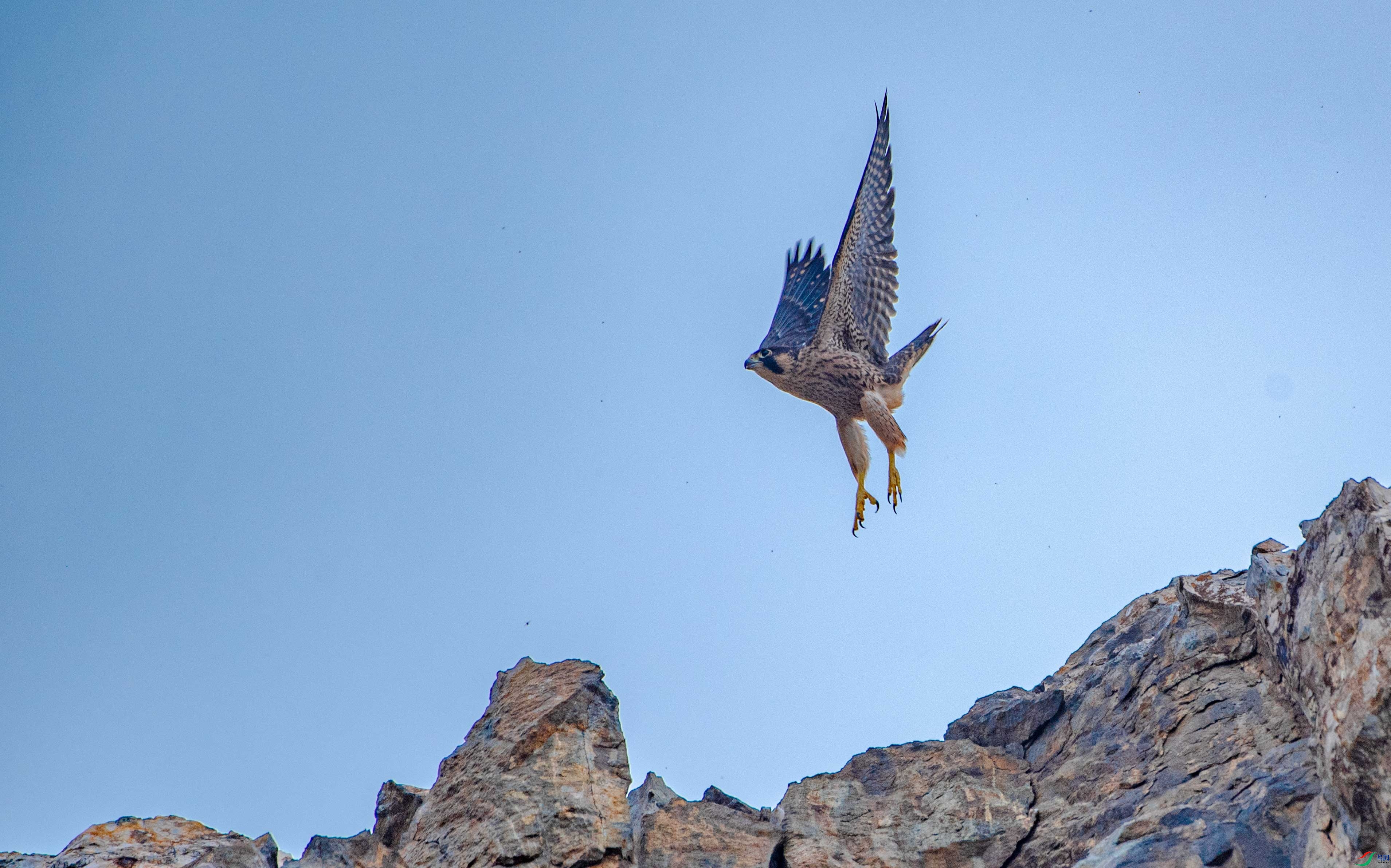 DSC_2777.jpg