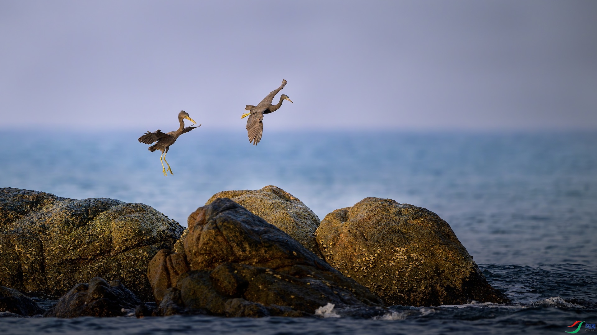 3_XXL6701-����ǿ-NR ����.jpeg