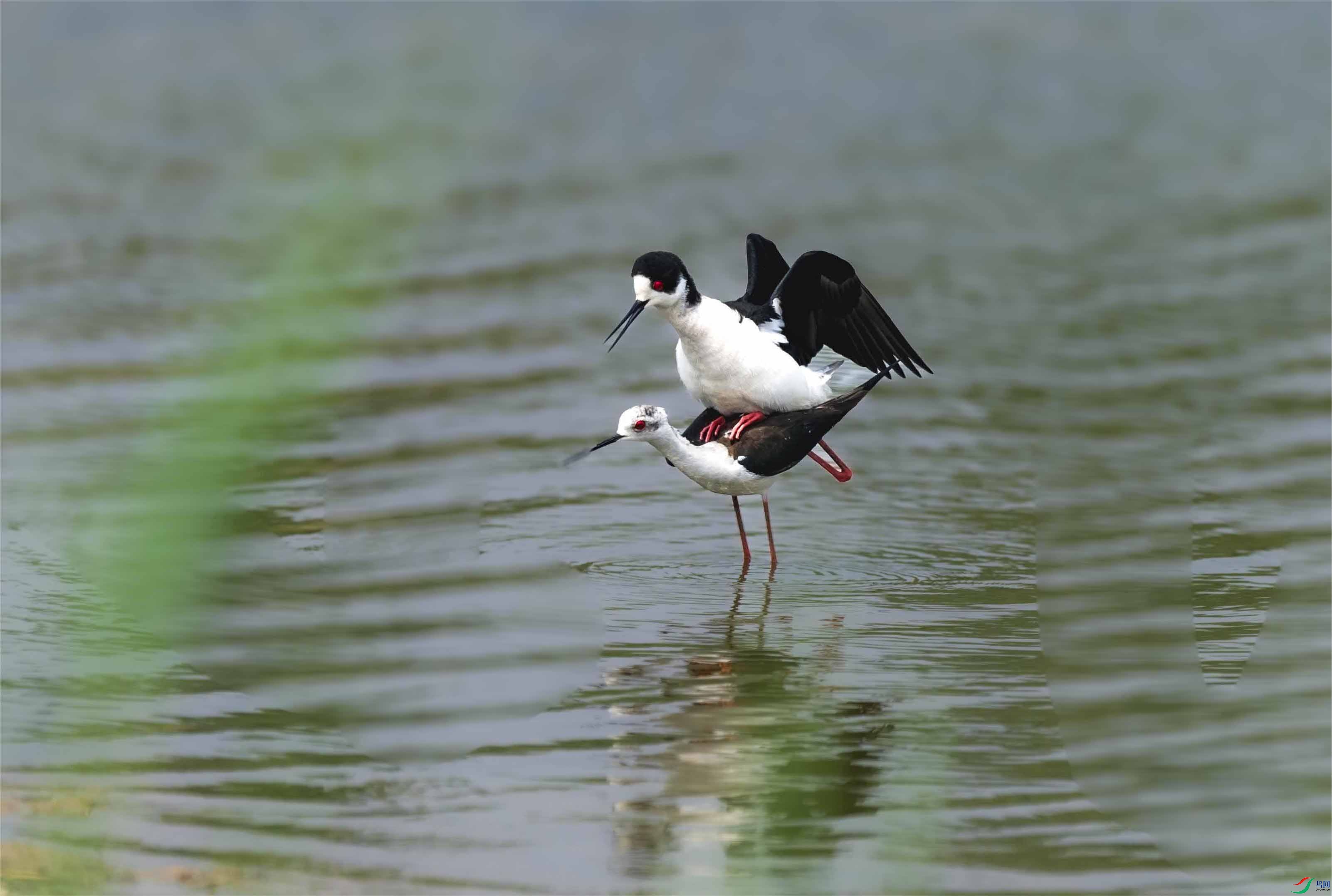 DSC_9185 ���� 3.jpg