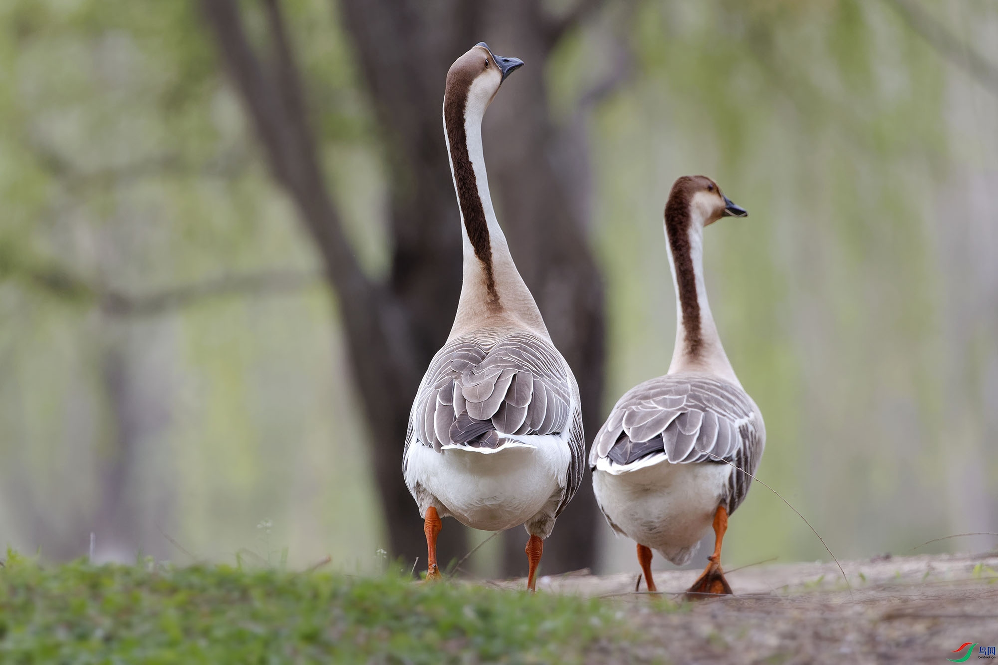 IMG_7811_DxOС ����.jpg