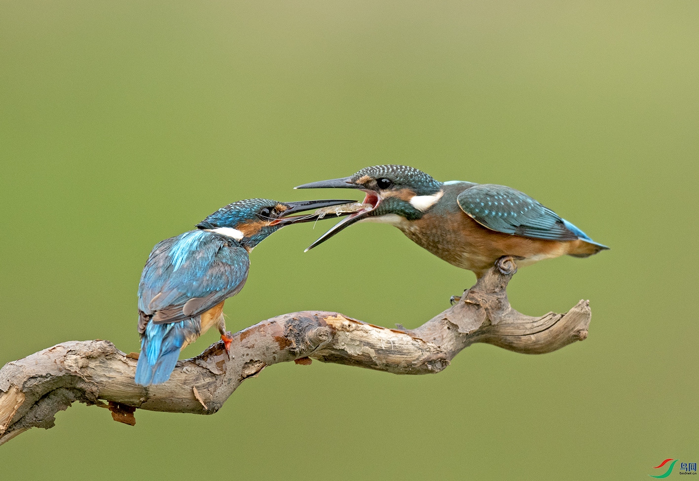 DSC_3000.jpg