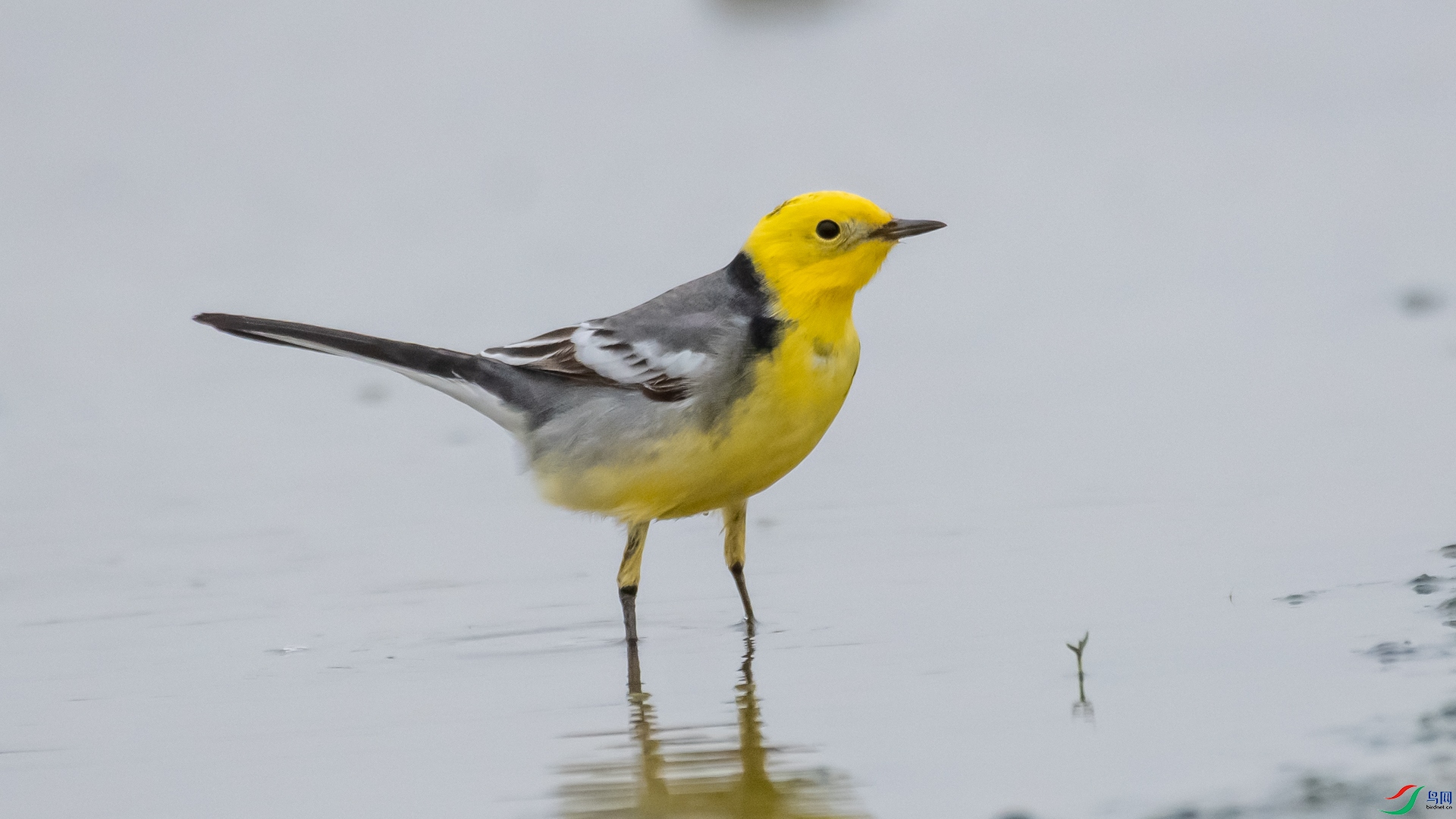 DSC_2737.jpg