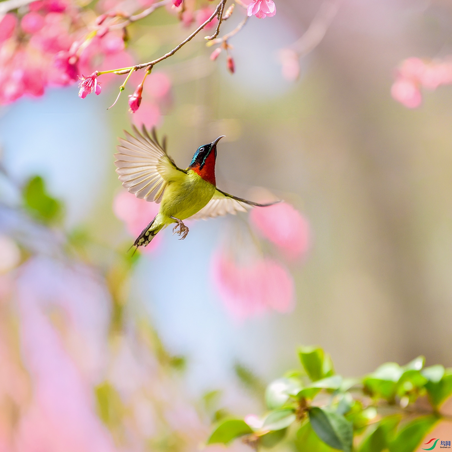 DSC_4071-1.jpg
