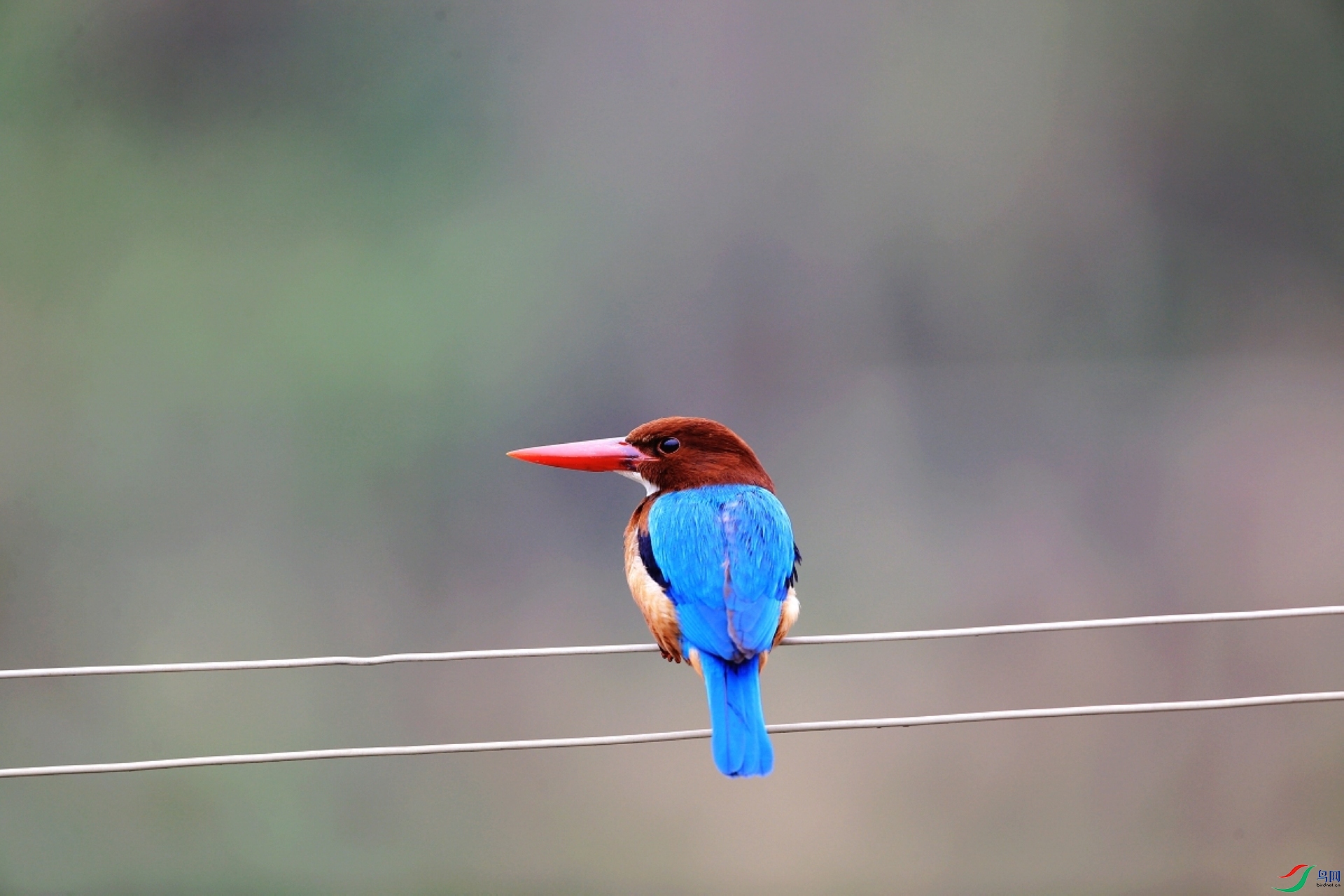 ���� IMGL6991.JPG