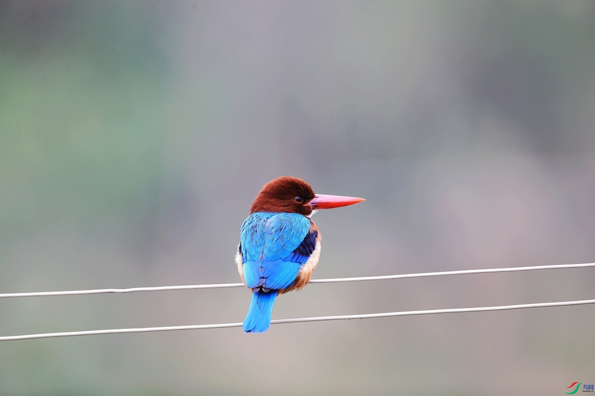 ���� IMGL7000.JPG