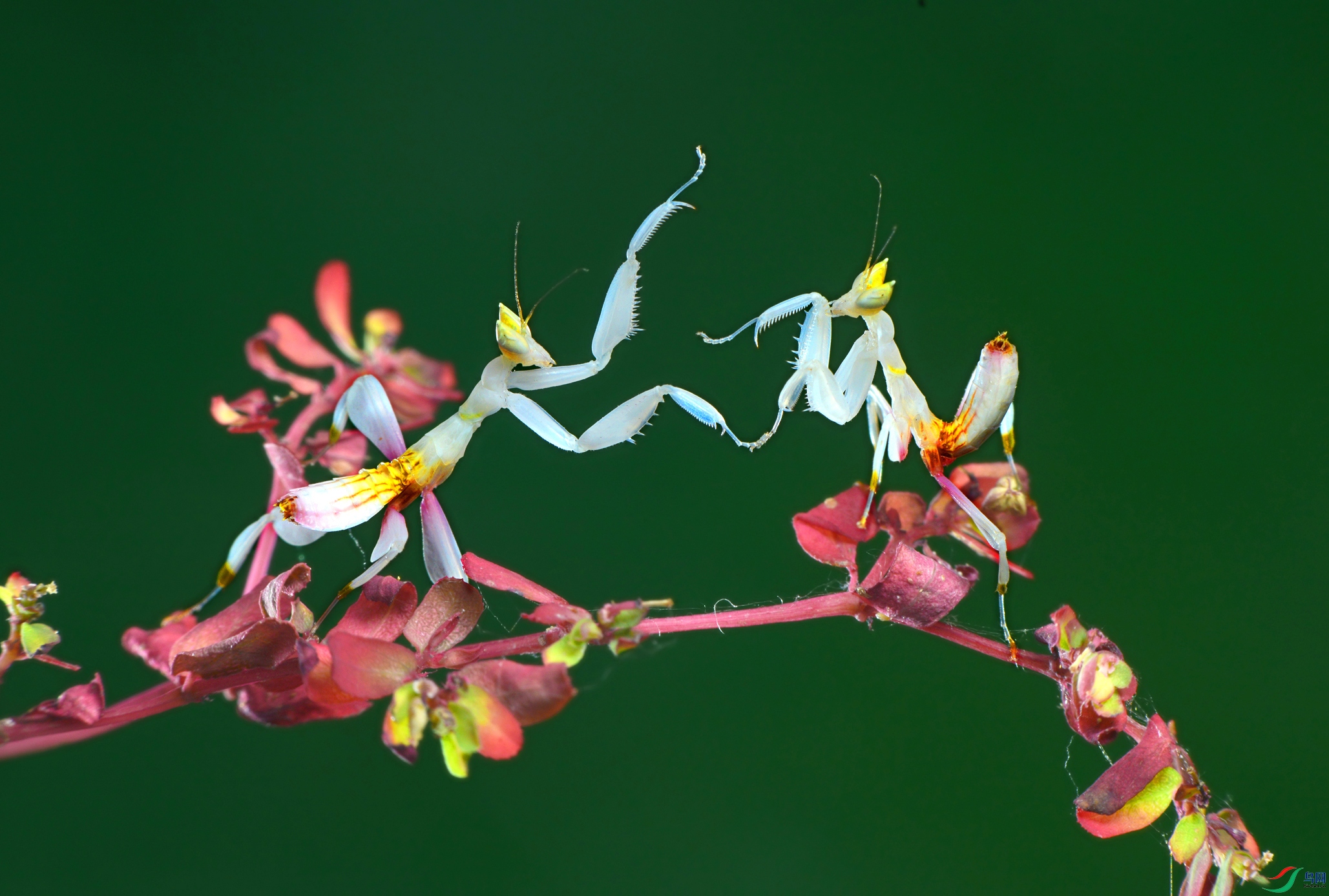 DSC_7405 ����.jpg