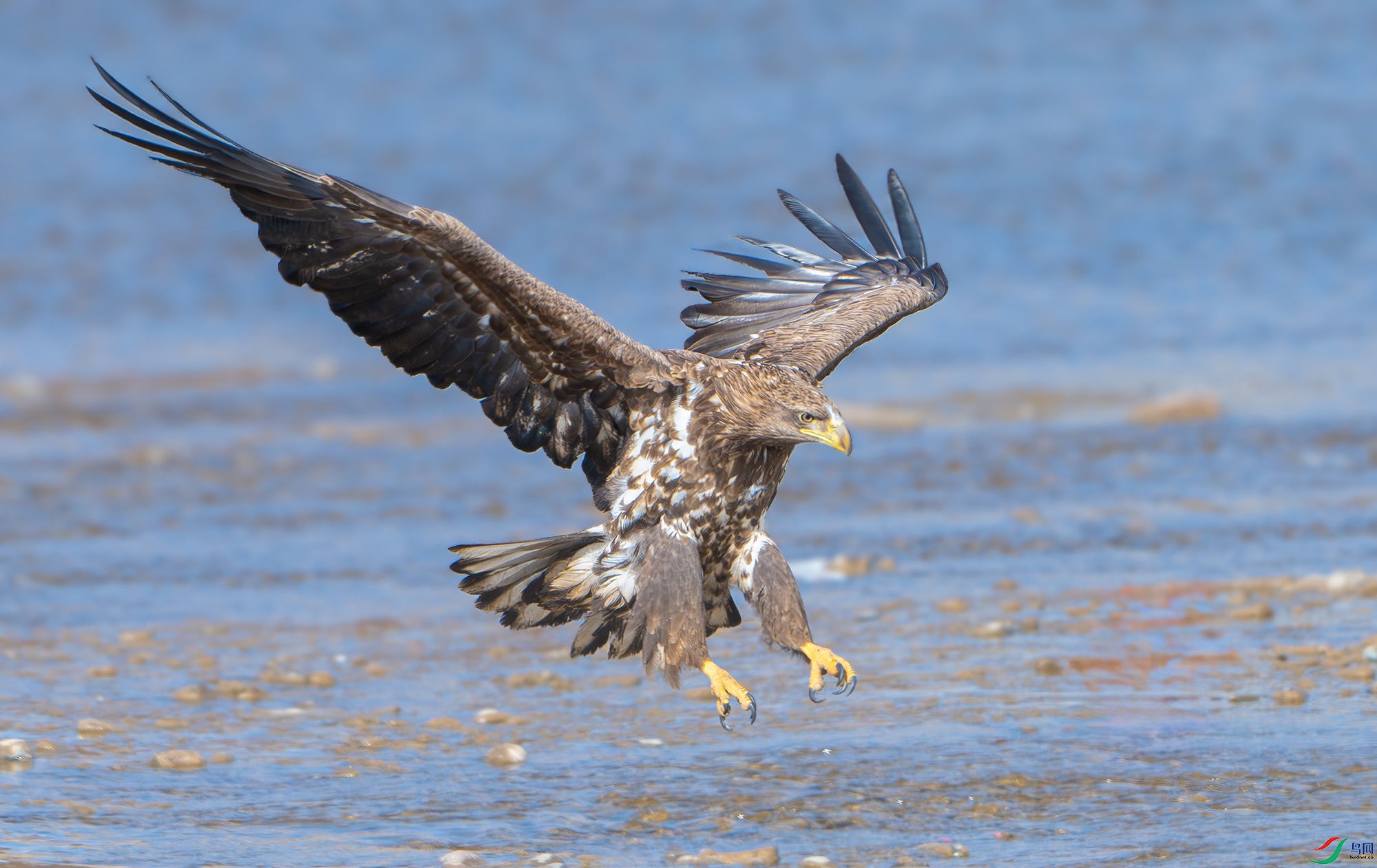 DSC_5944.jpg