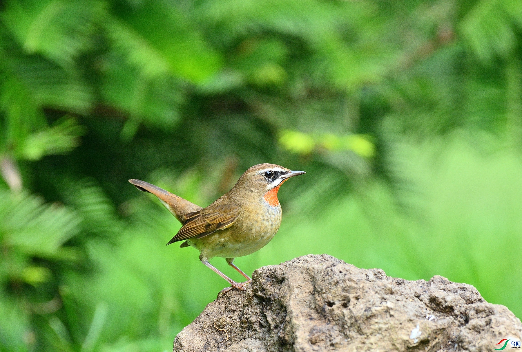DSC_3129.JPG