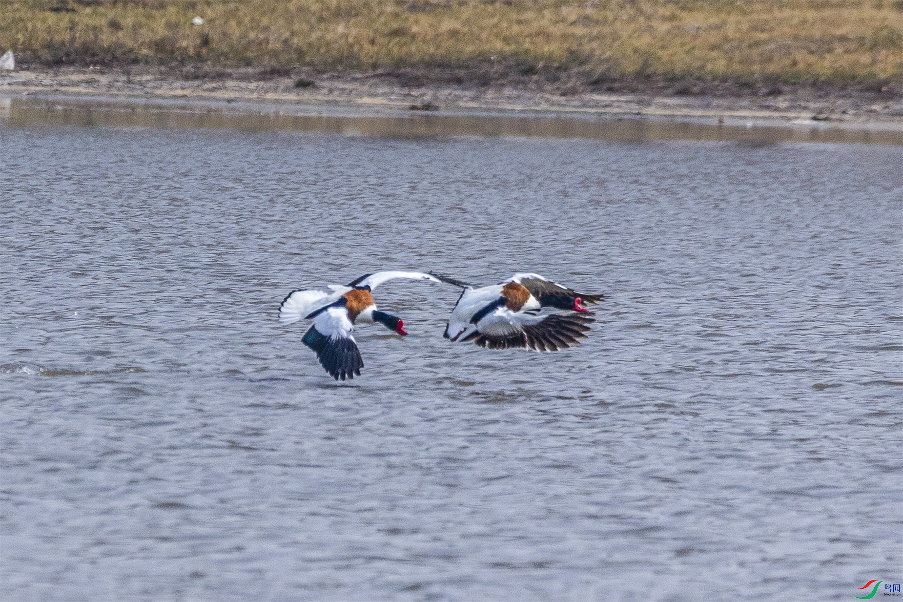 1K3A6347 ����1.jpg