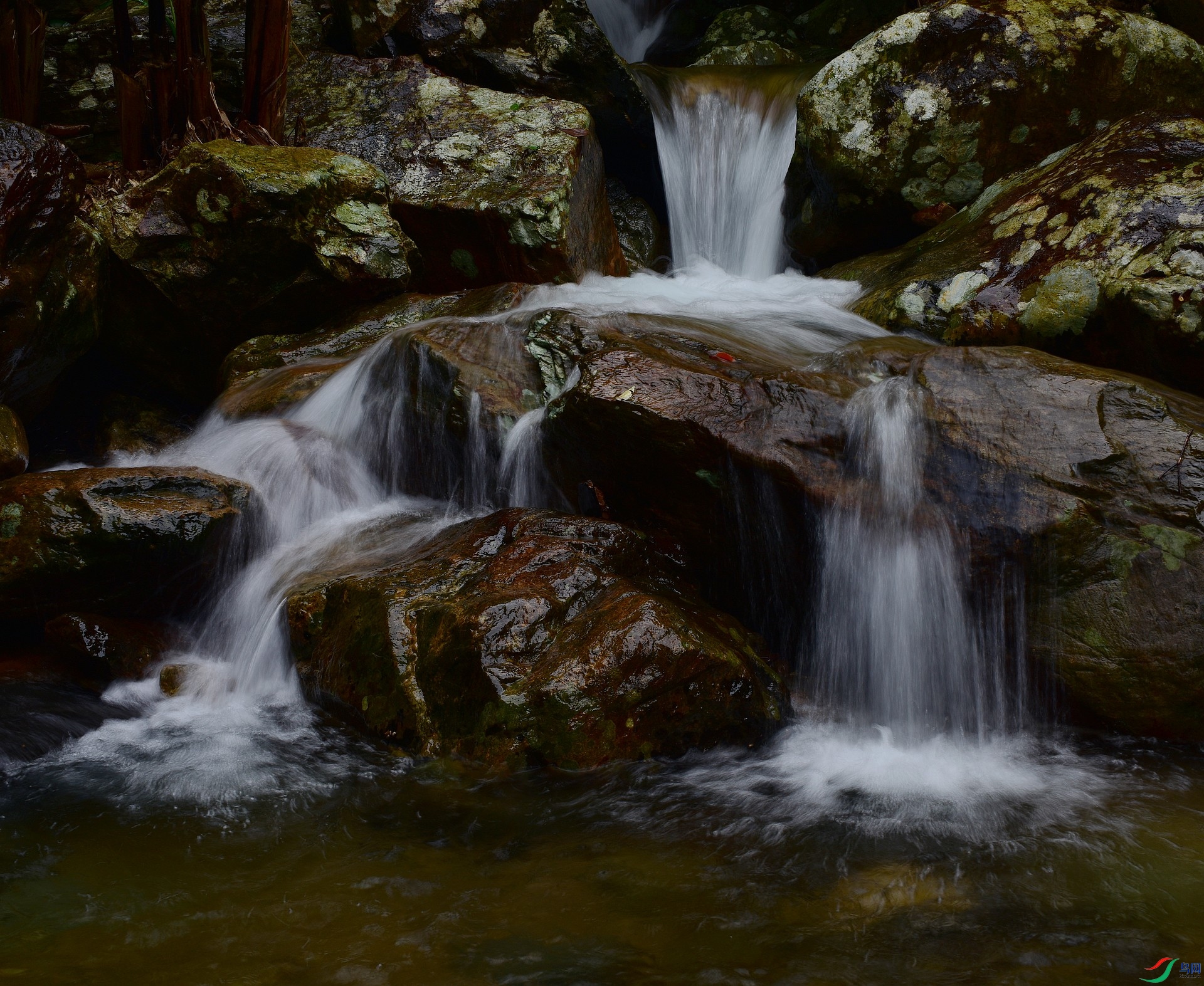 D8I_1298.jpg