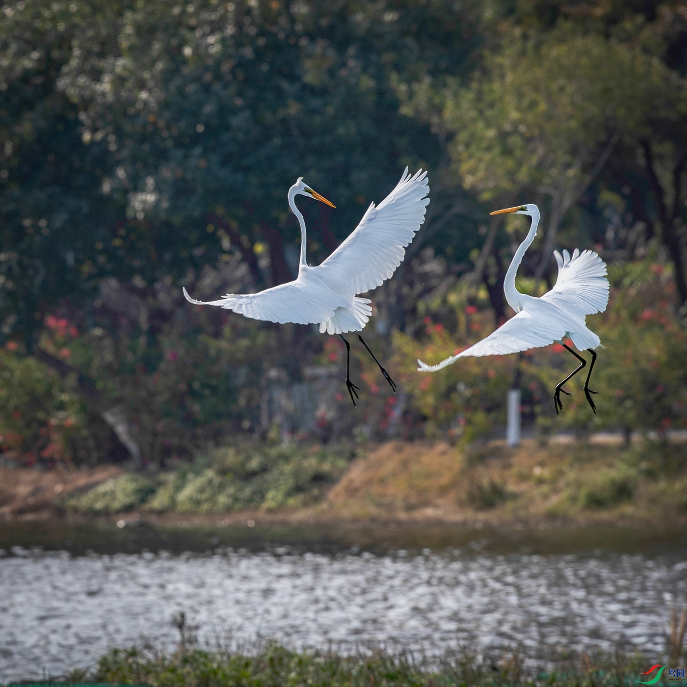 DSC_6528-22.jpg