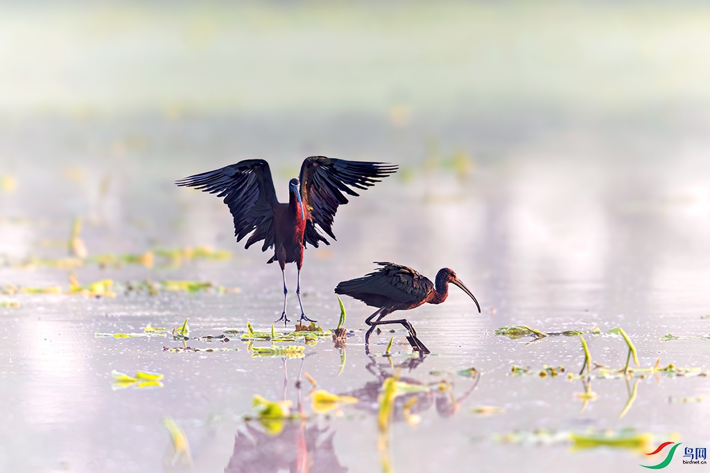 ahfnR240426 (1126)_DxO.jpg