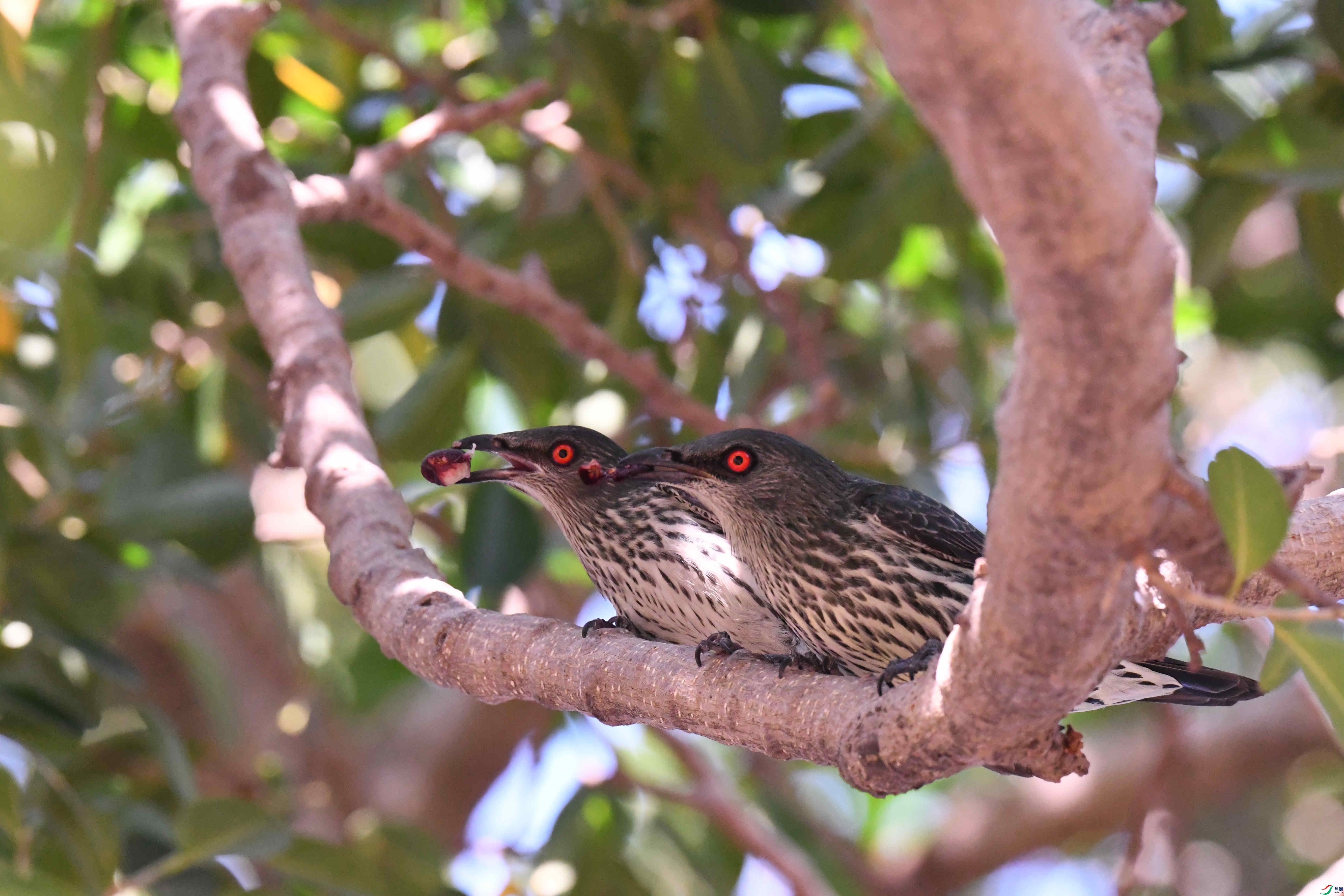 ���޻���� ���� (31).JPG