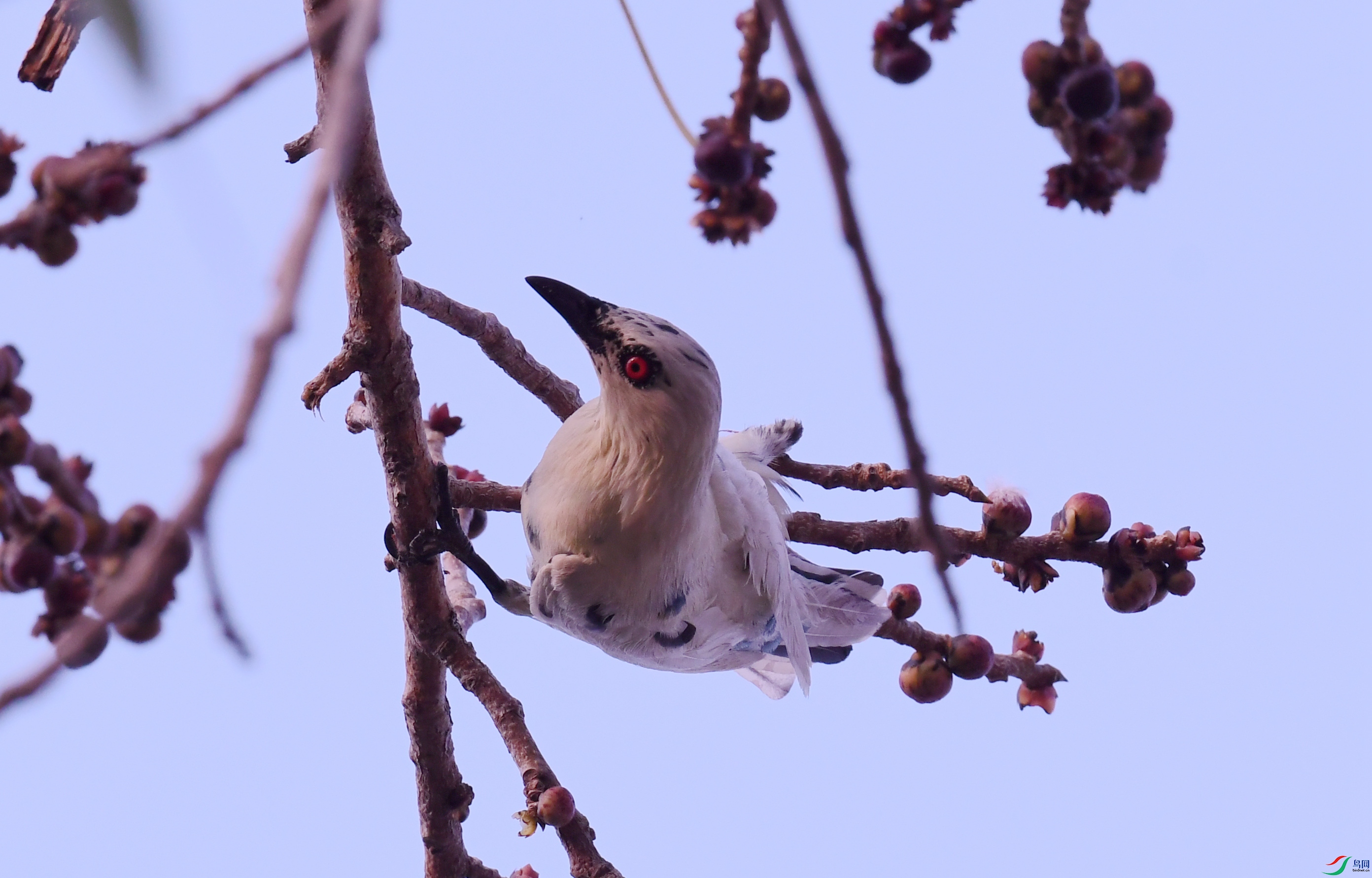 ���޻���� �׻�  ���� (3).JPG