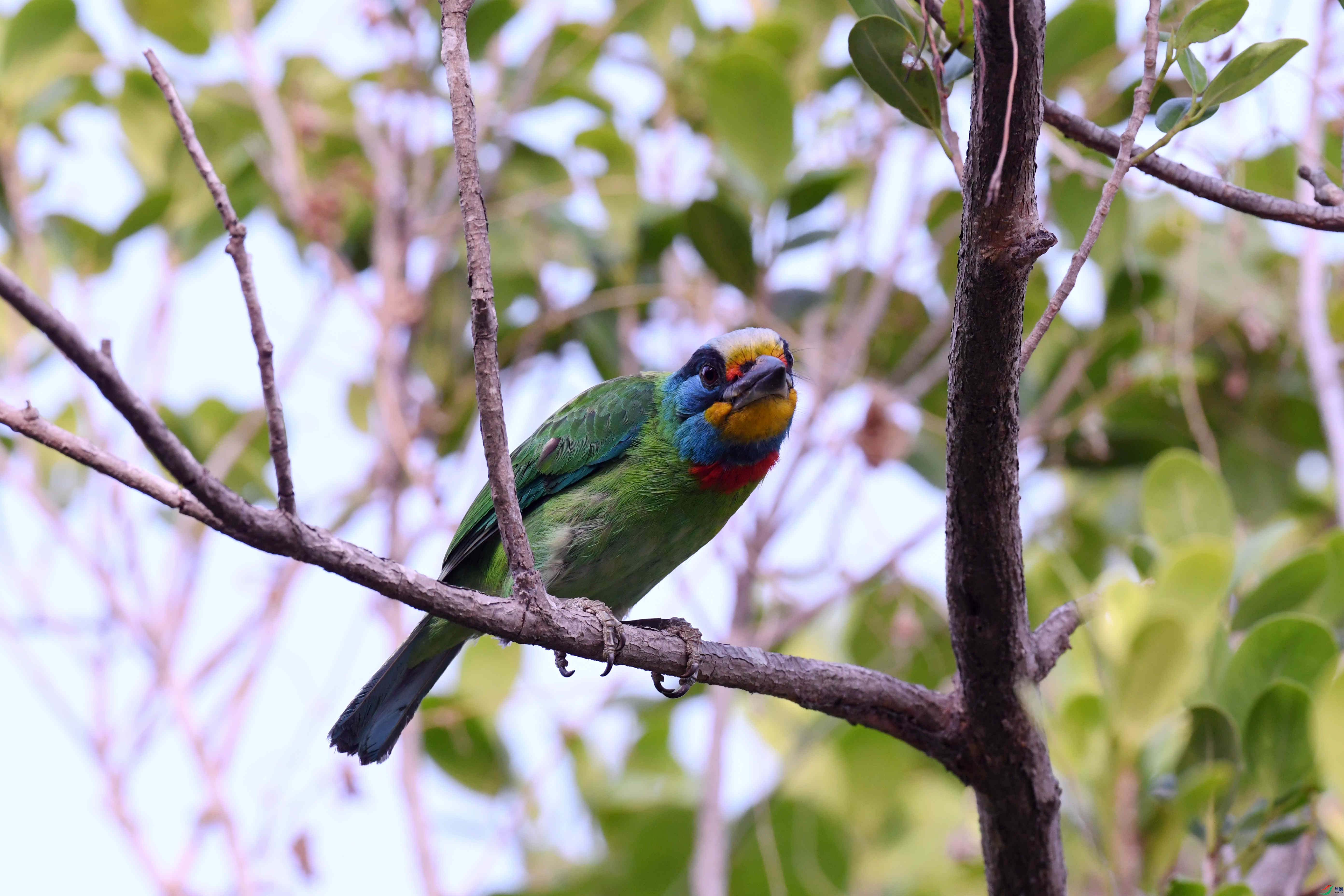 ̨������ľ�� ���� (8).JPG