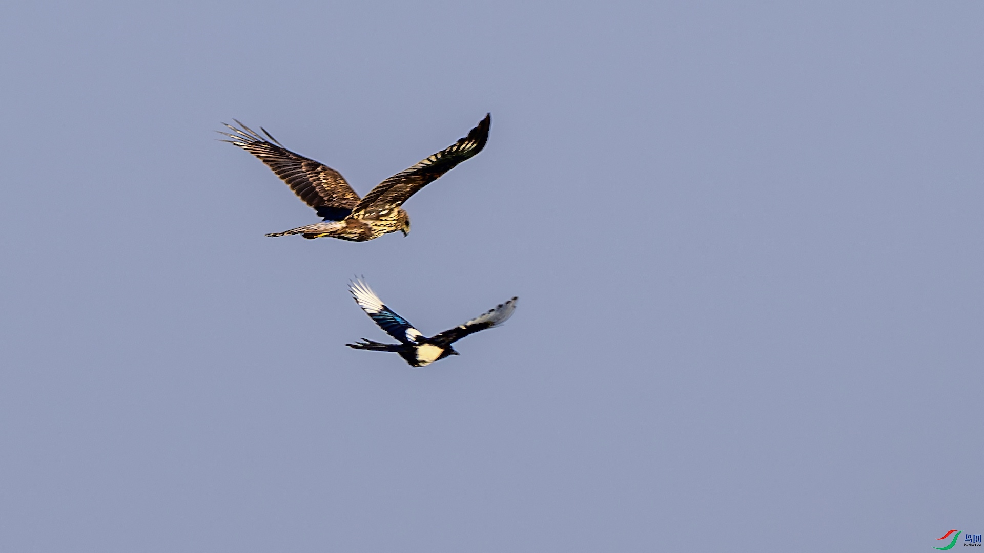 1_XXL5081-����ǿ-NR ����.jpeg