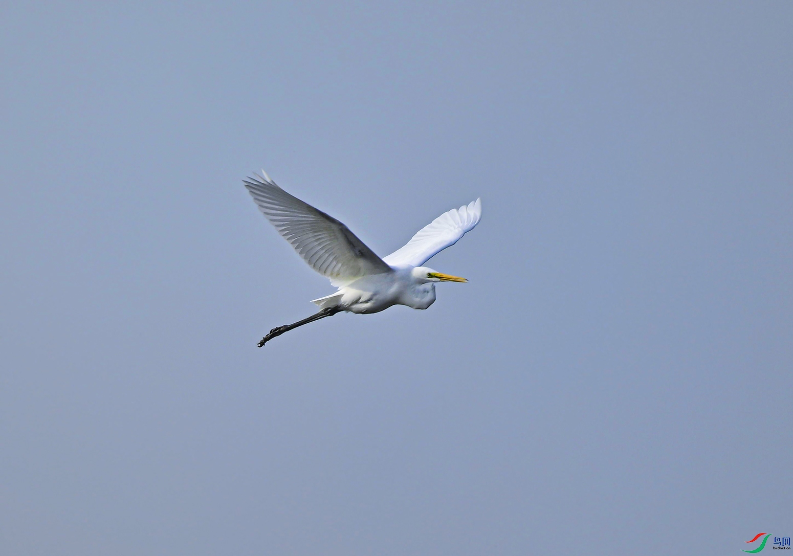 _DSC3765f.jpg
