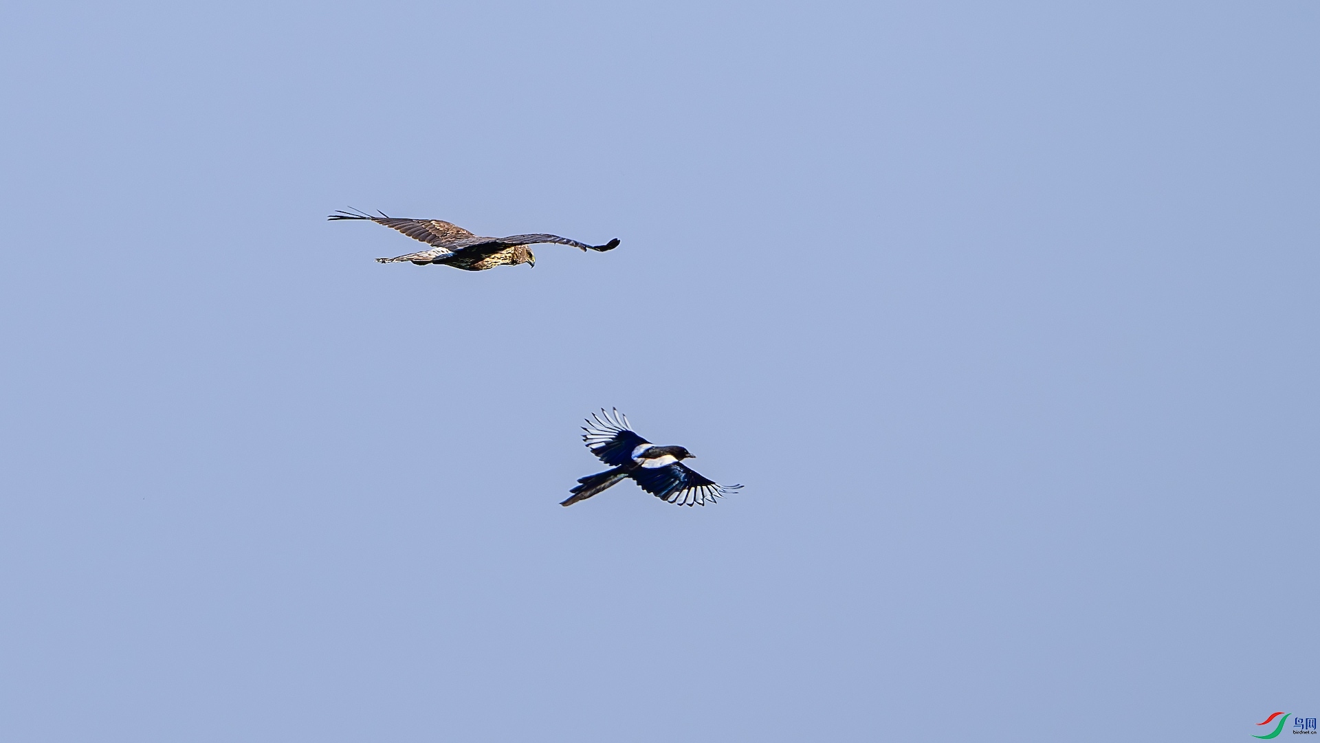 1_XXL5124-����ǿ-NR ����.jpeg