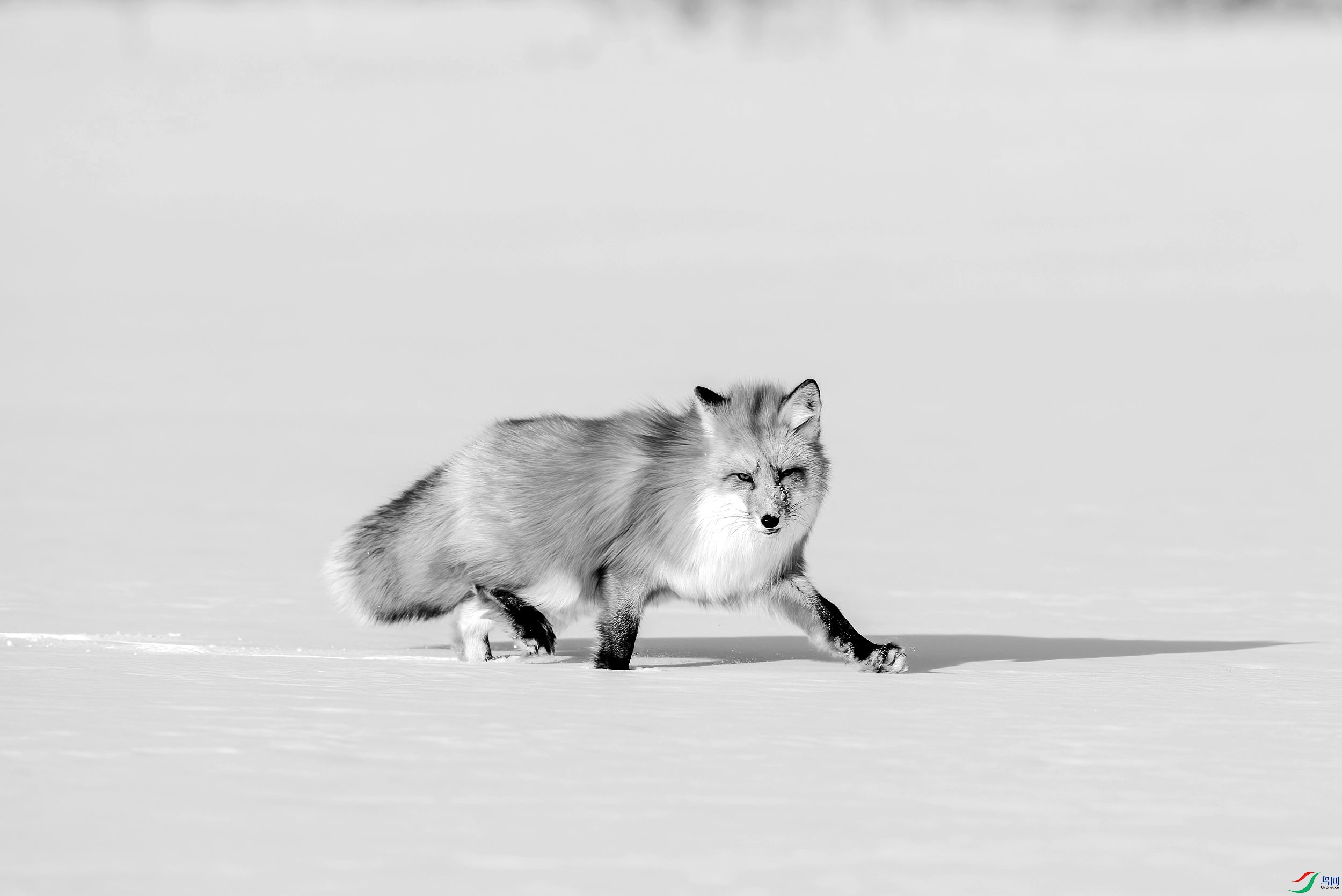 AC3I1640 ����_����.jpg