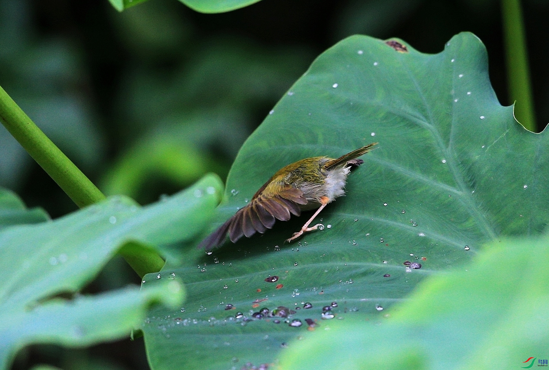 ���� IMGL3041.JPG