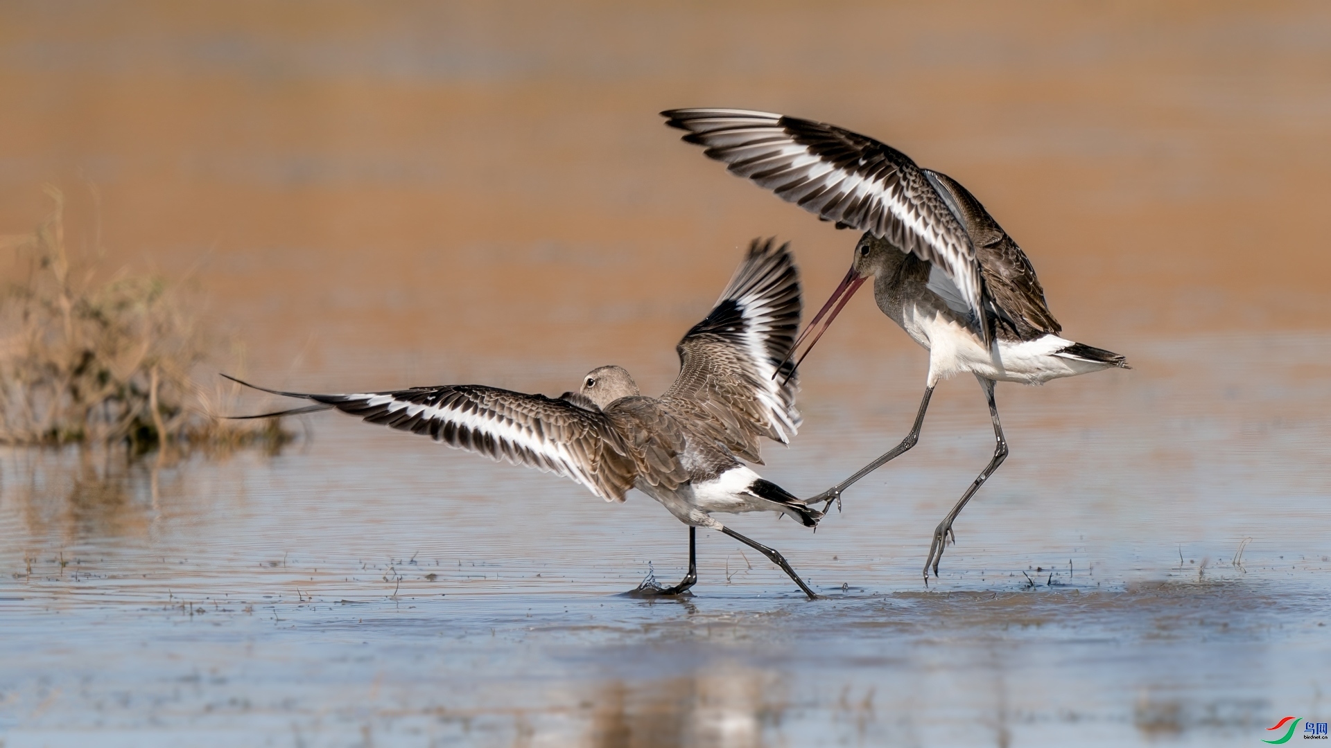 ����  ���� ��������  �ܶ�.jpg