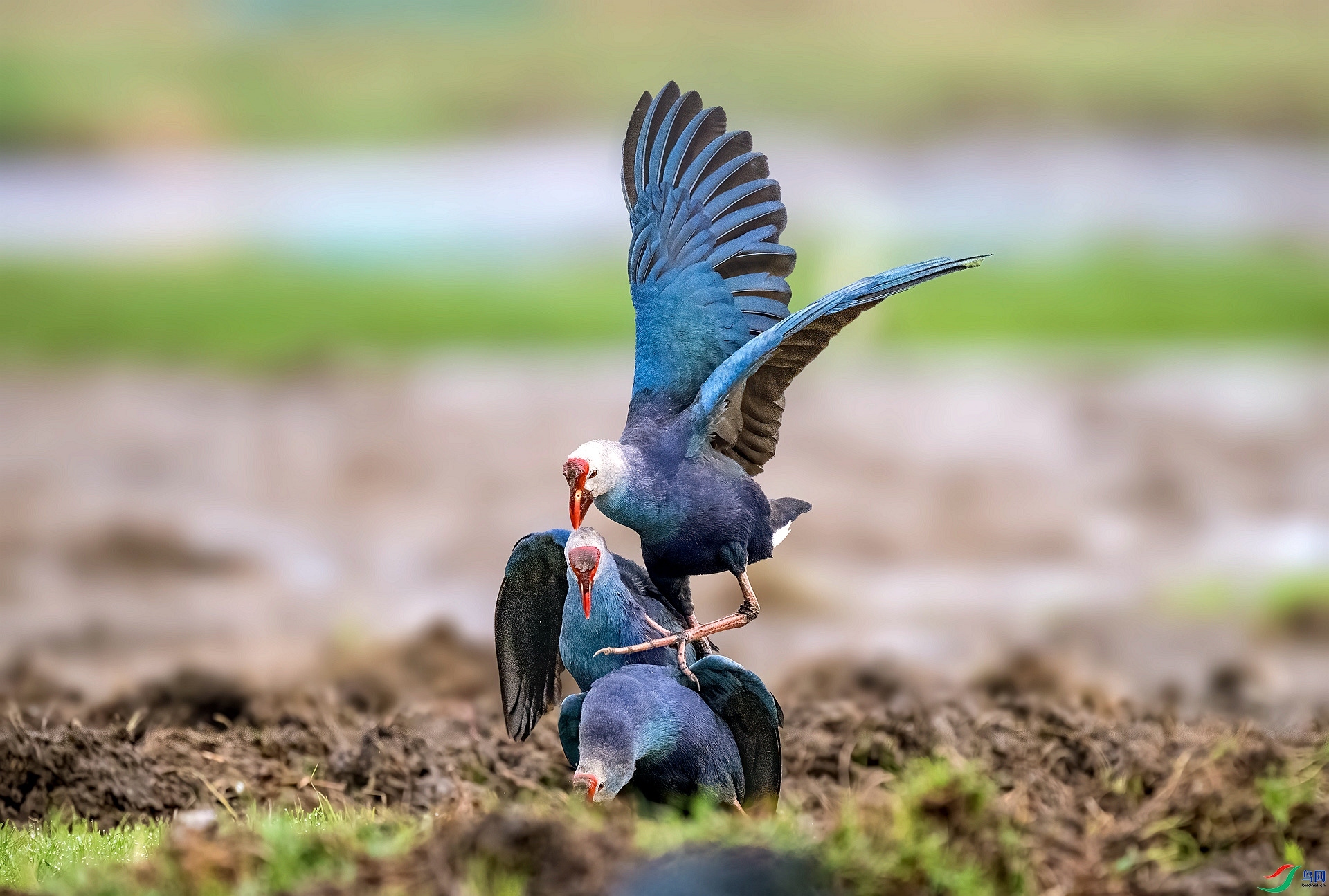 ÿ�ռ������� ���� ������ ����.jpg