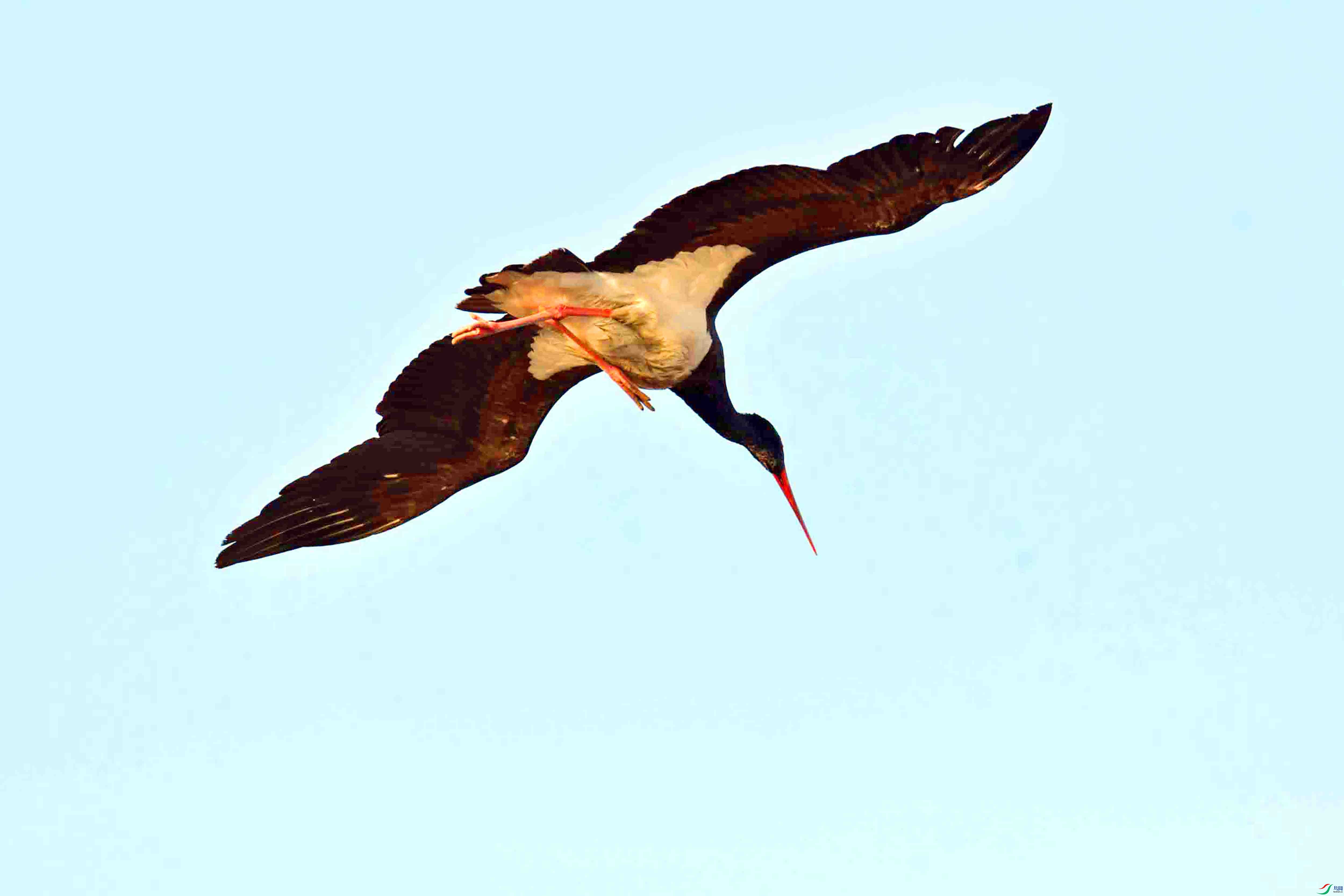 DSC_5753.JPG