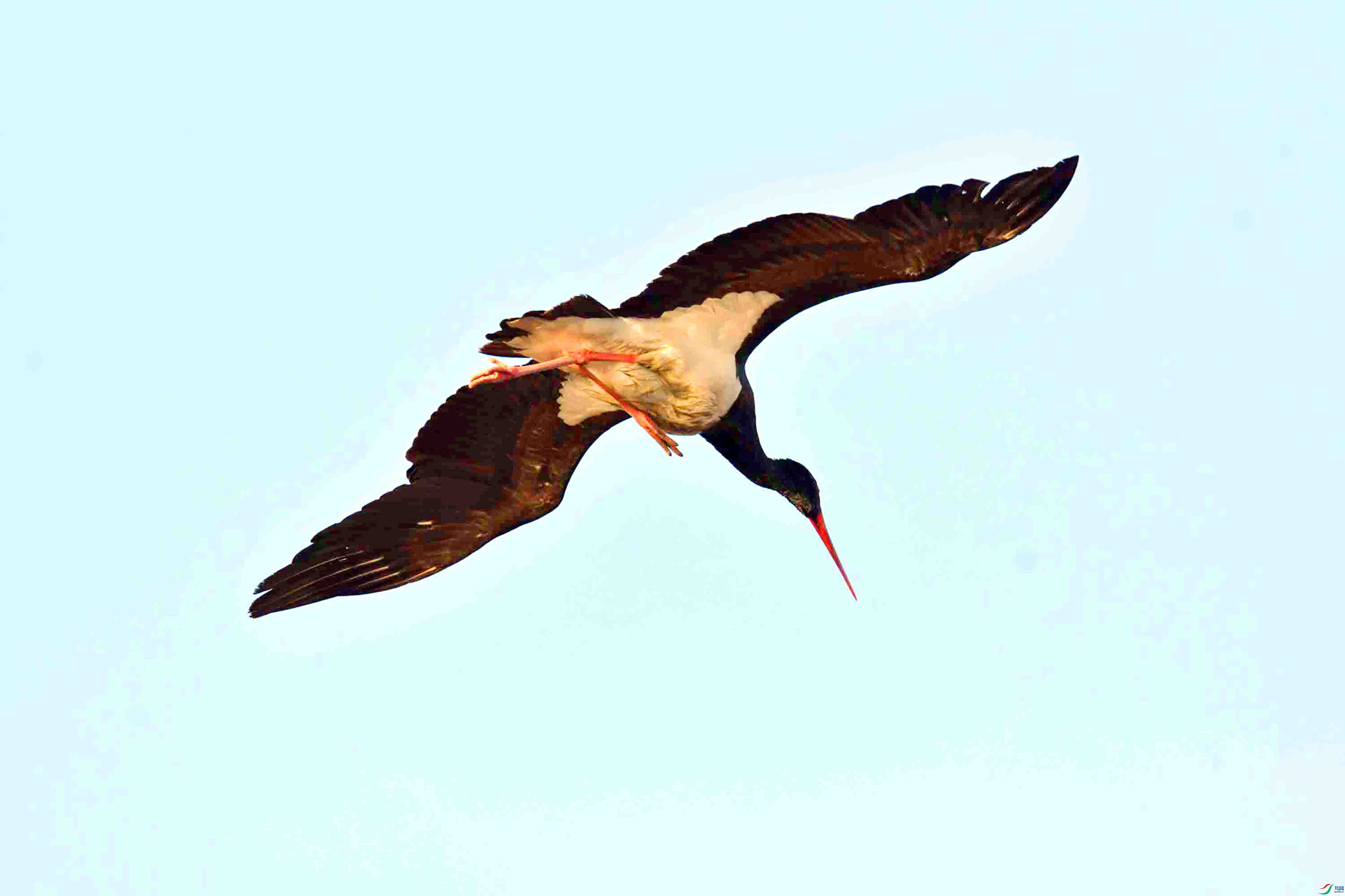 DSC_5752.JPG