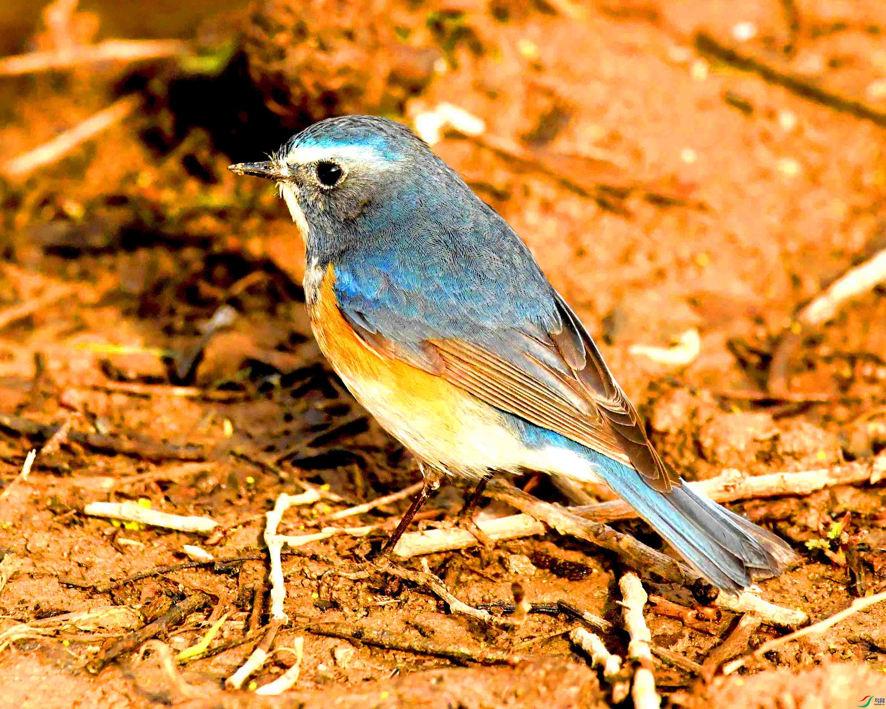 DSC_1744.JPG