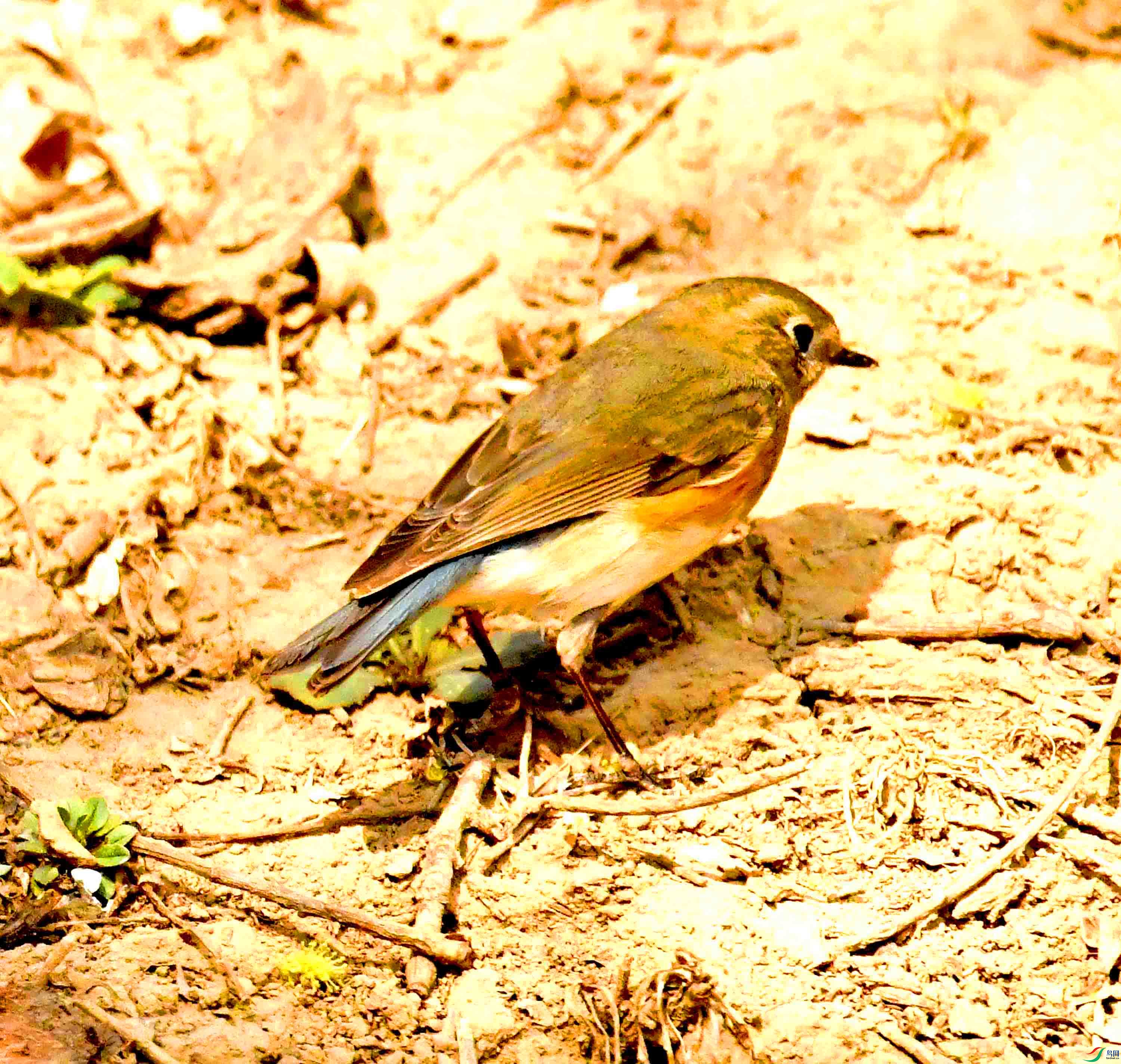 DSC_2168.JPG