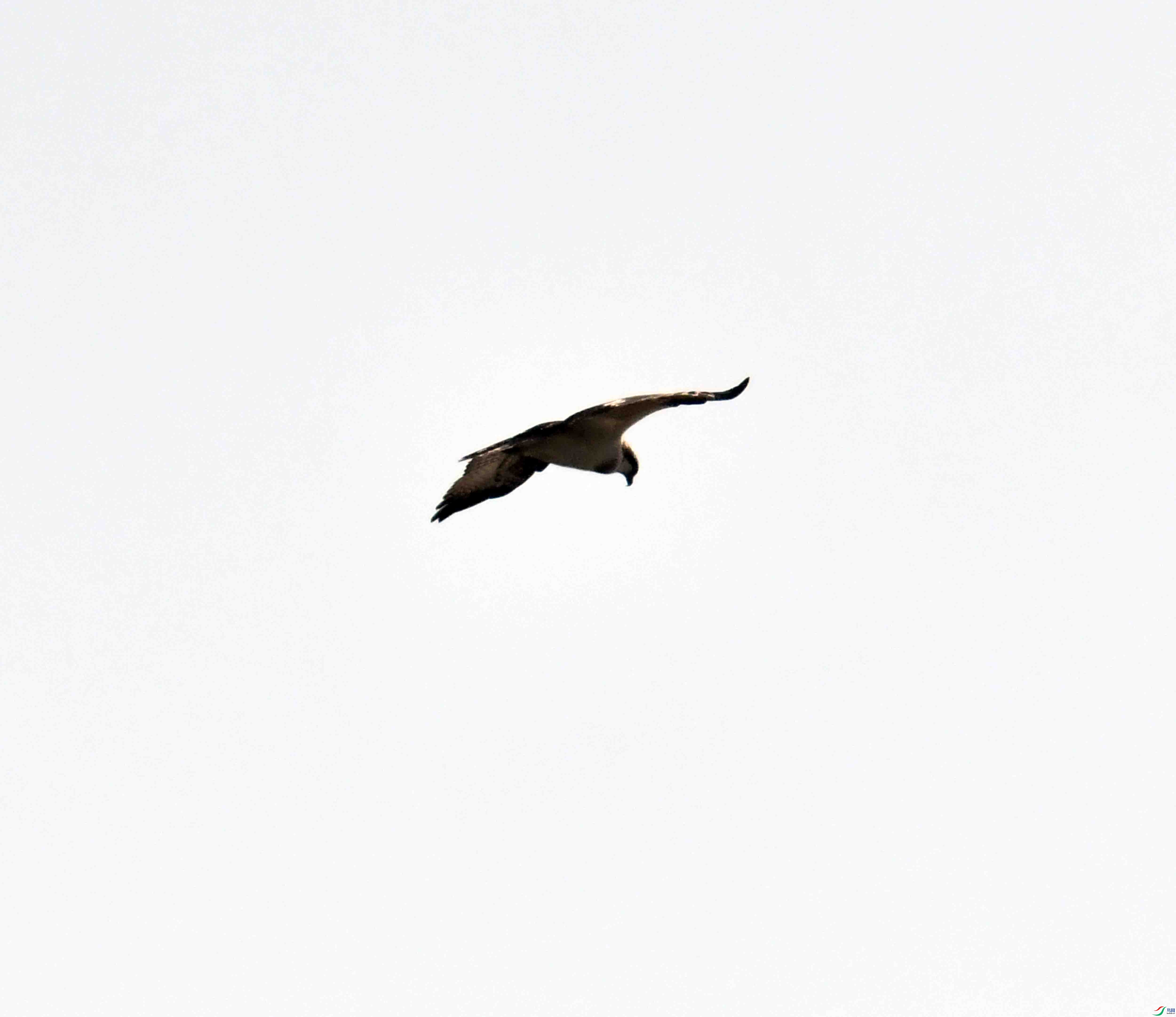 DSC_5223.JPG