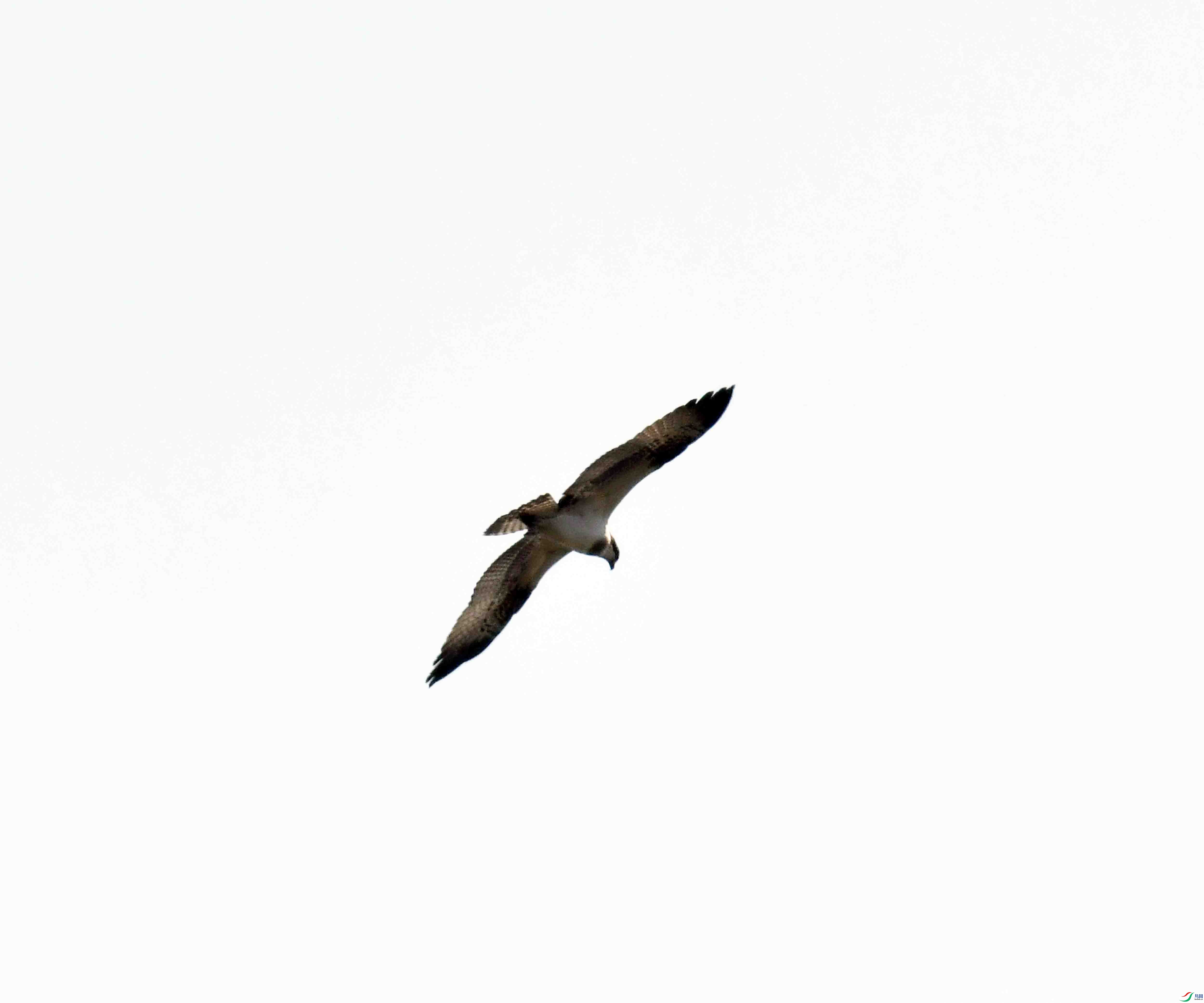 DSC_5224.JPG