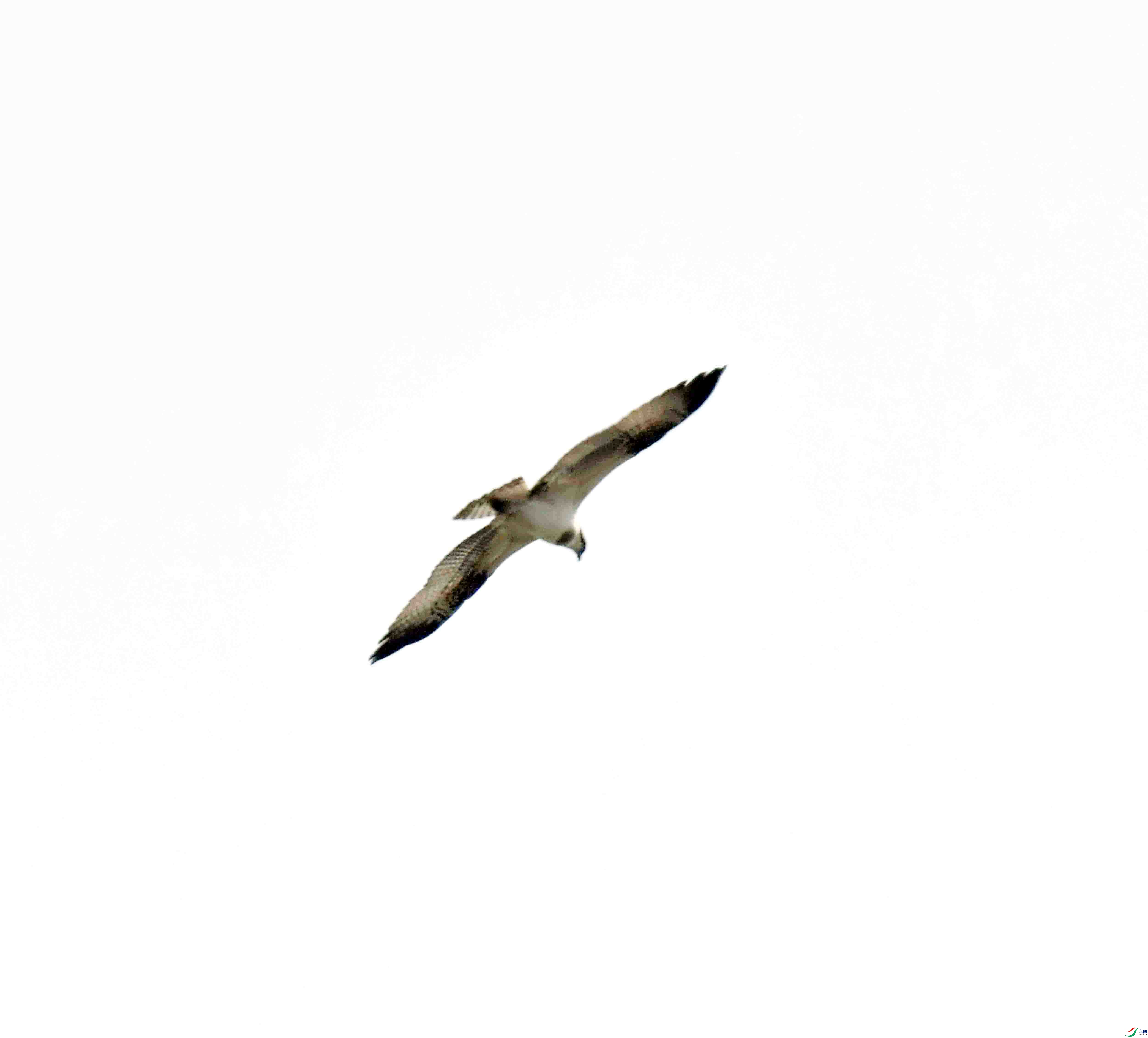 DSC_5225.JPG